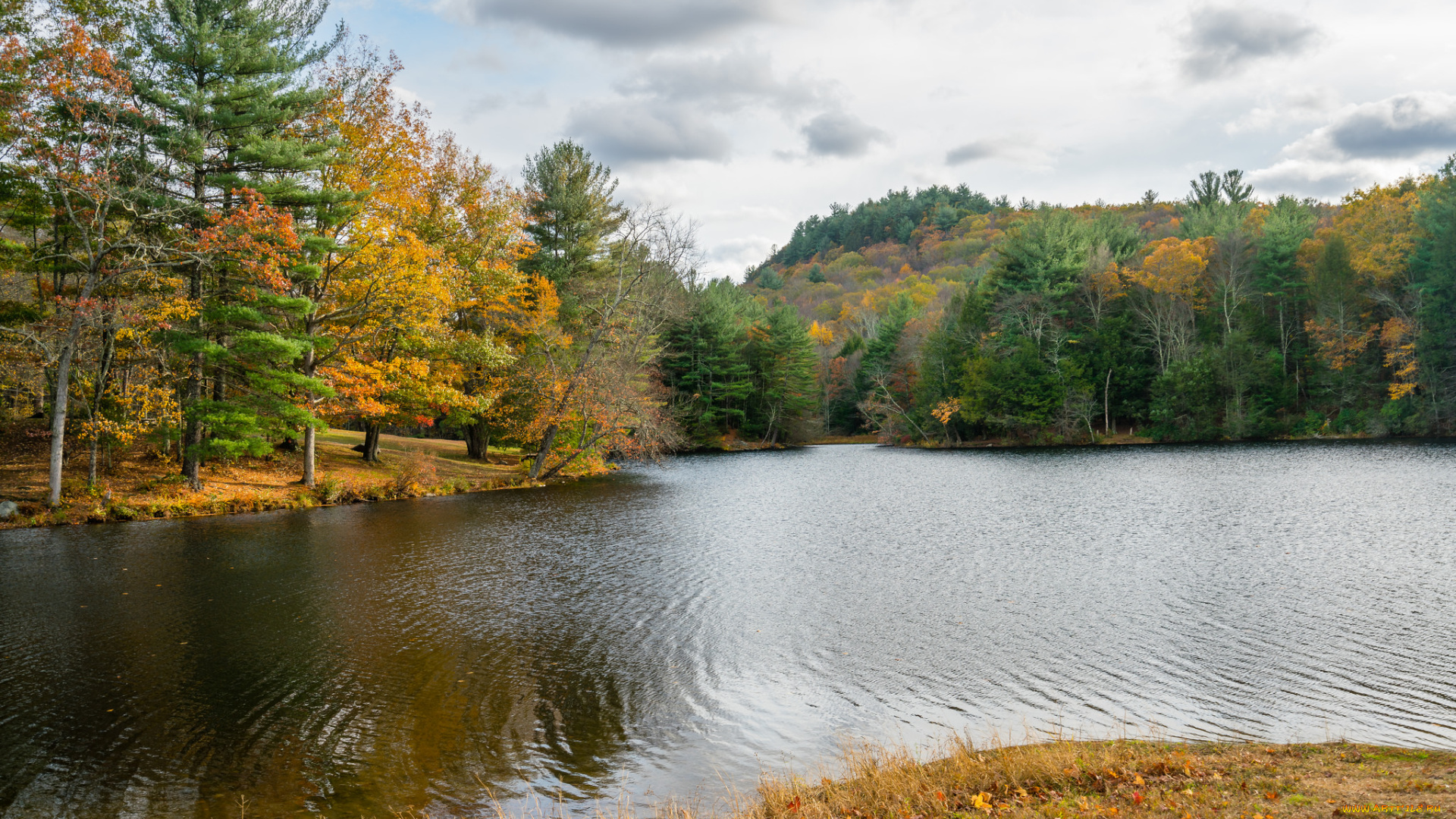 природа, реки, озера, простор