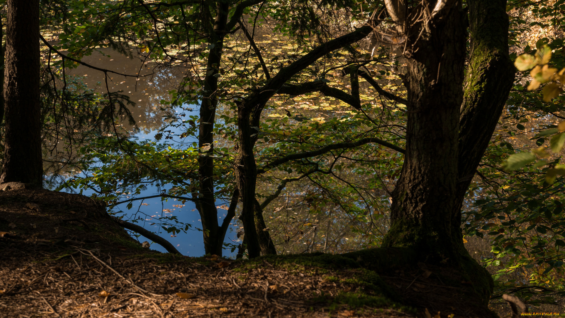 природа, реки, озера, простор