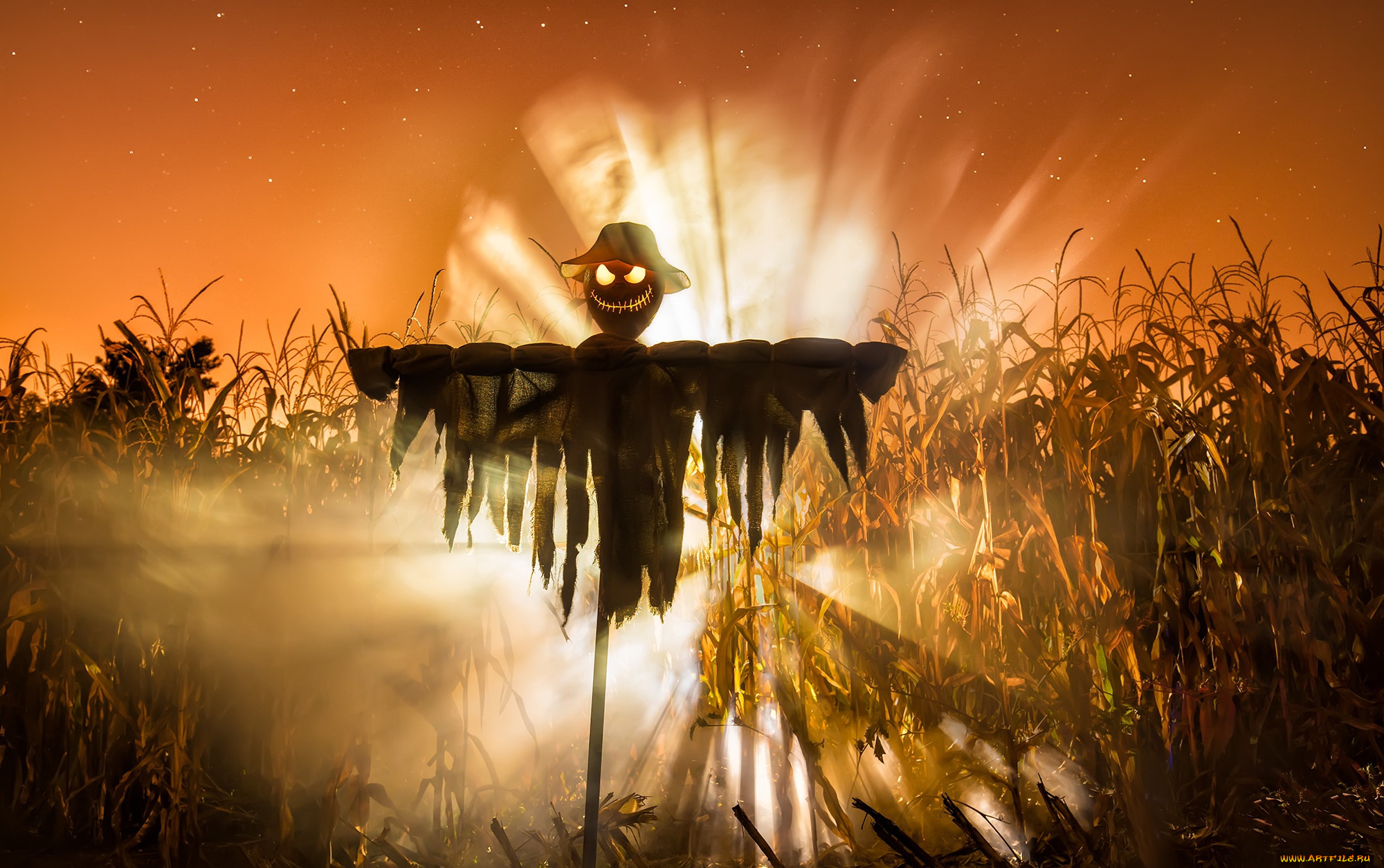 праздничные, хэллоуин, halloween, праздник