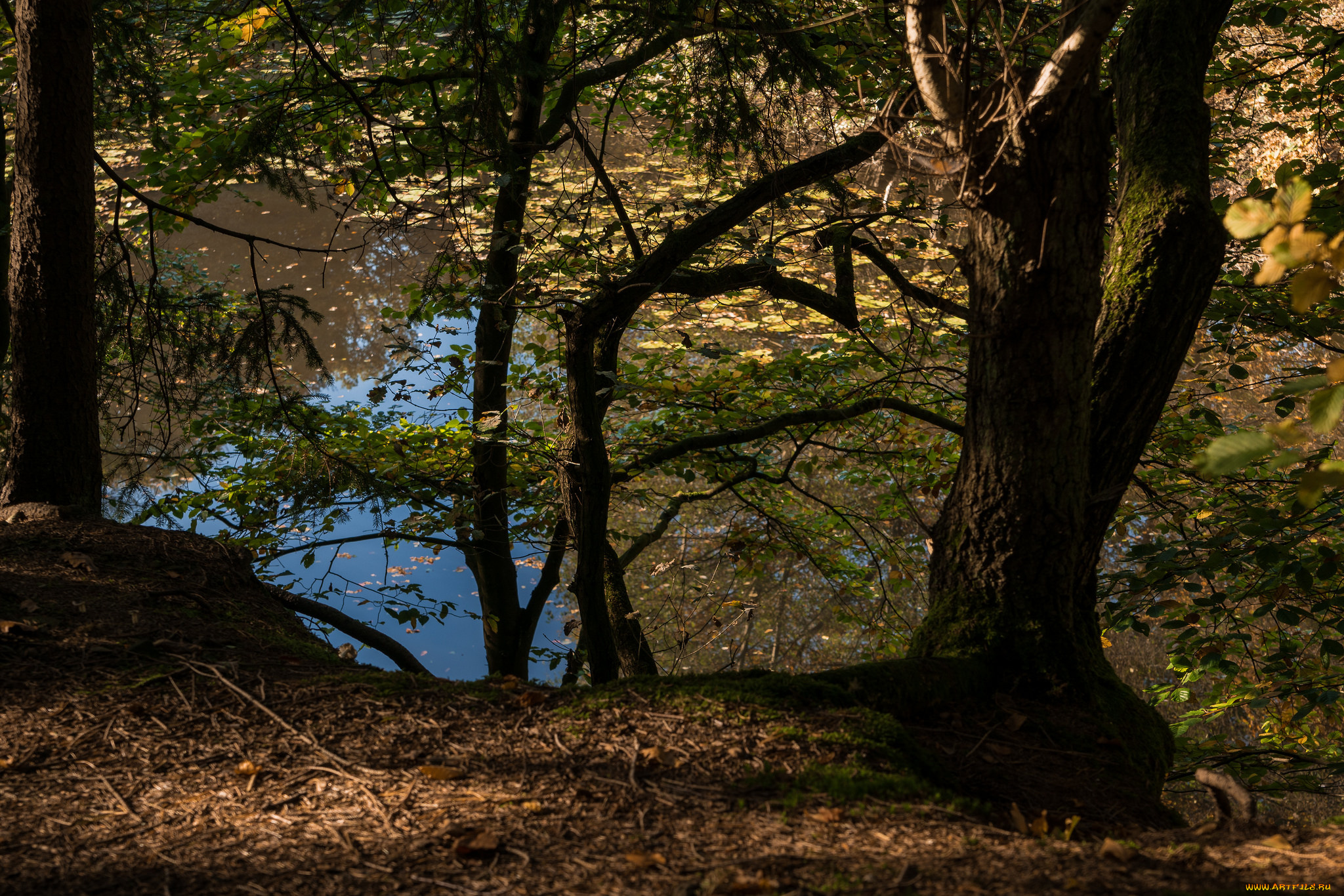 природа, реки, озера, простор