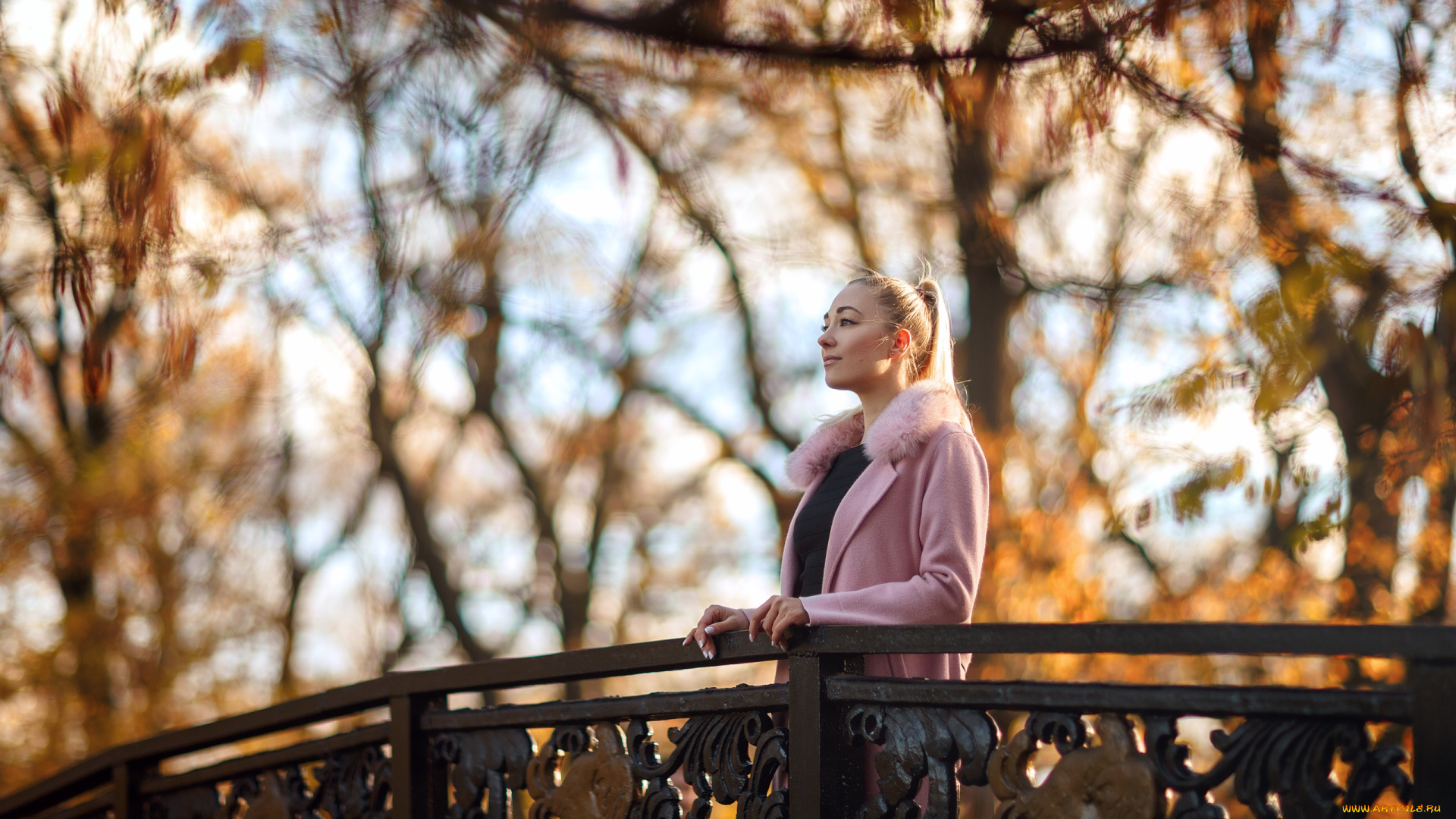 девушка, девушки, -unsort, , блондинки, , светловолосые, модель