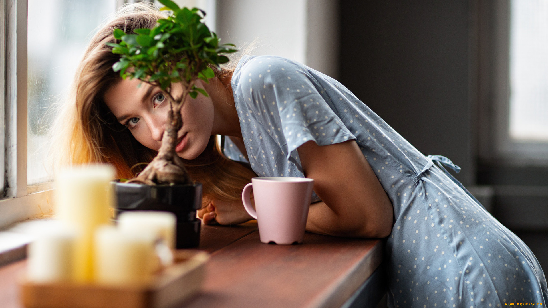 девушка, девушки, -unsort, , рыжеволосые, и, другие, модель