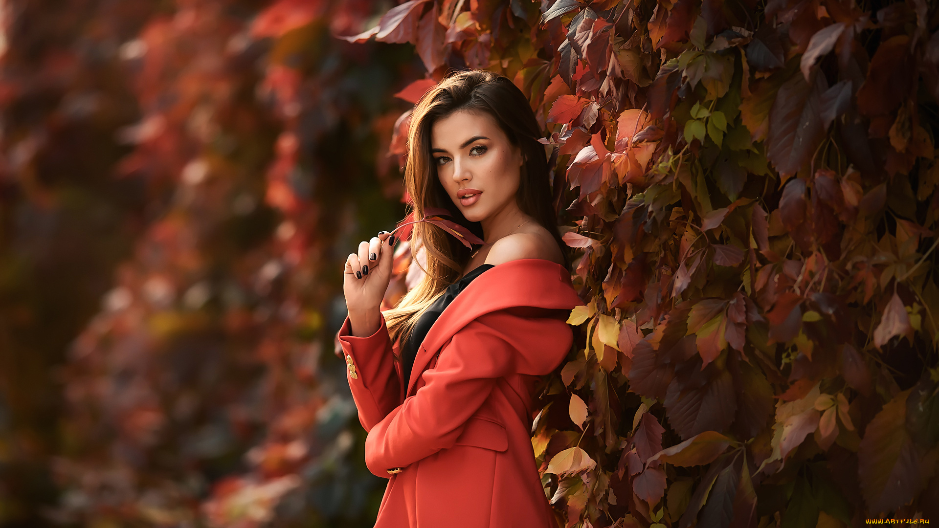 девушки, анастасия, бармина, брюнетка, модель, растения, анастасия, бармина, осень, красное, пальто, женщины, на, открытом, воздухе, листья