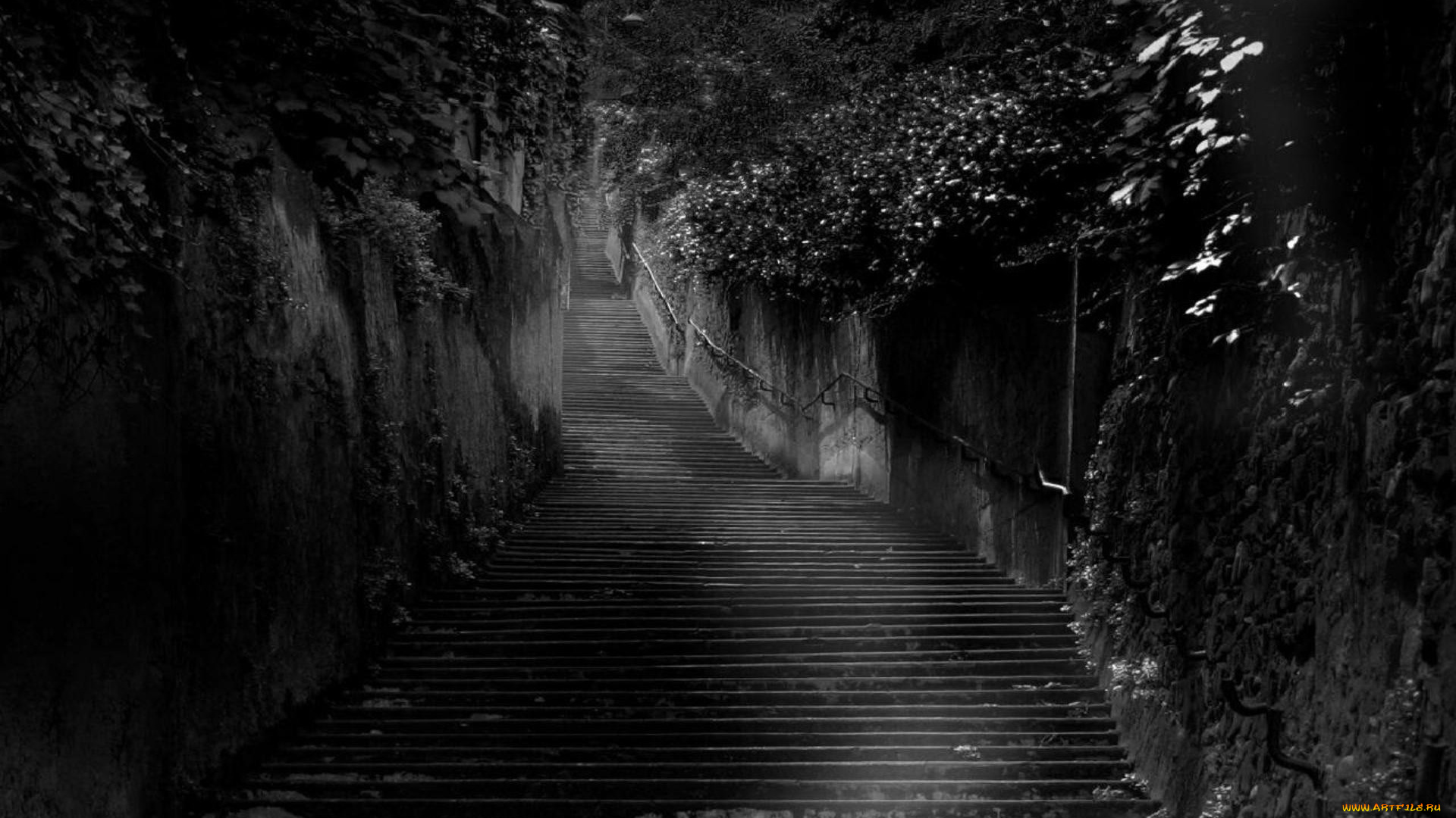 города, -, другое, ступени, растения, лестница, стены
