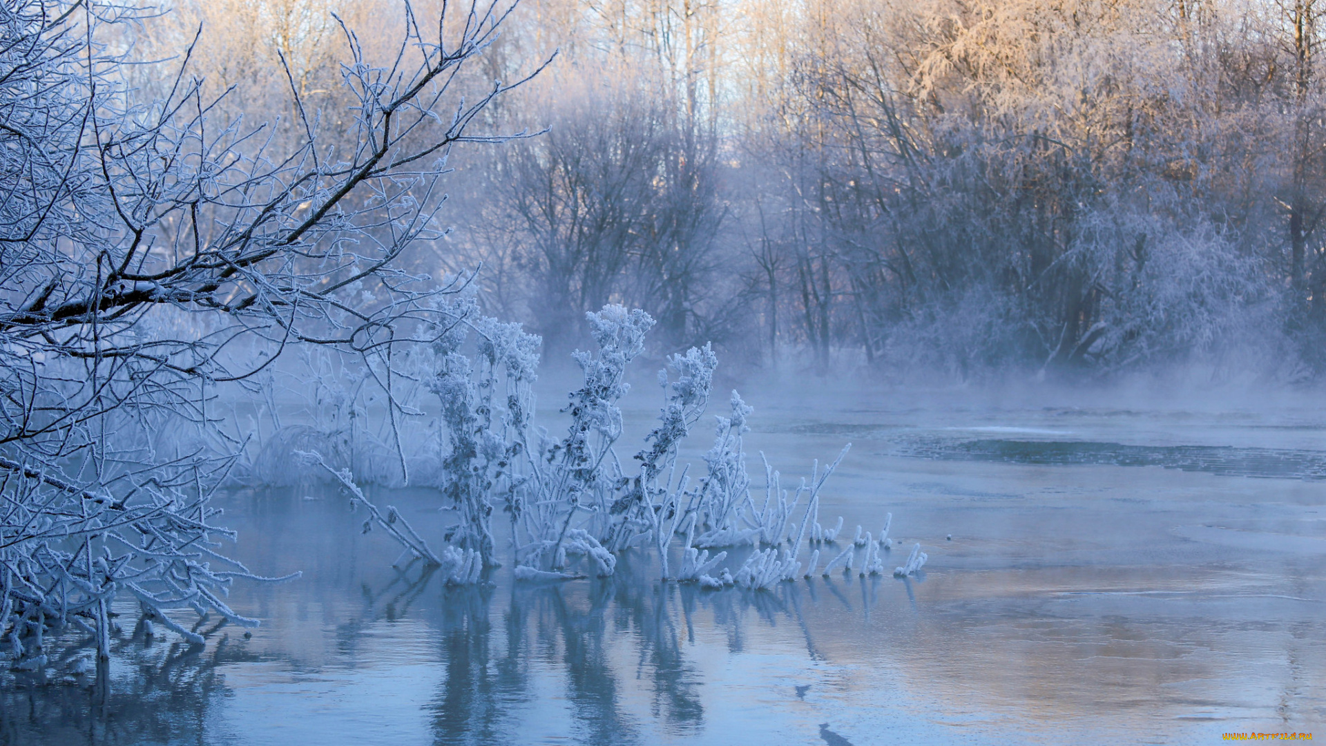 природа, реки, озера, простор