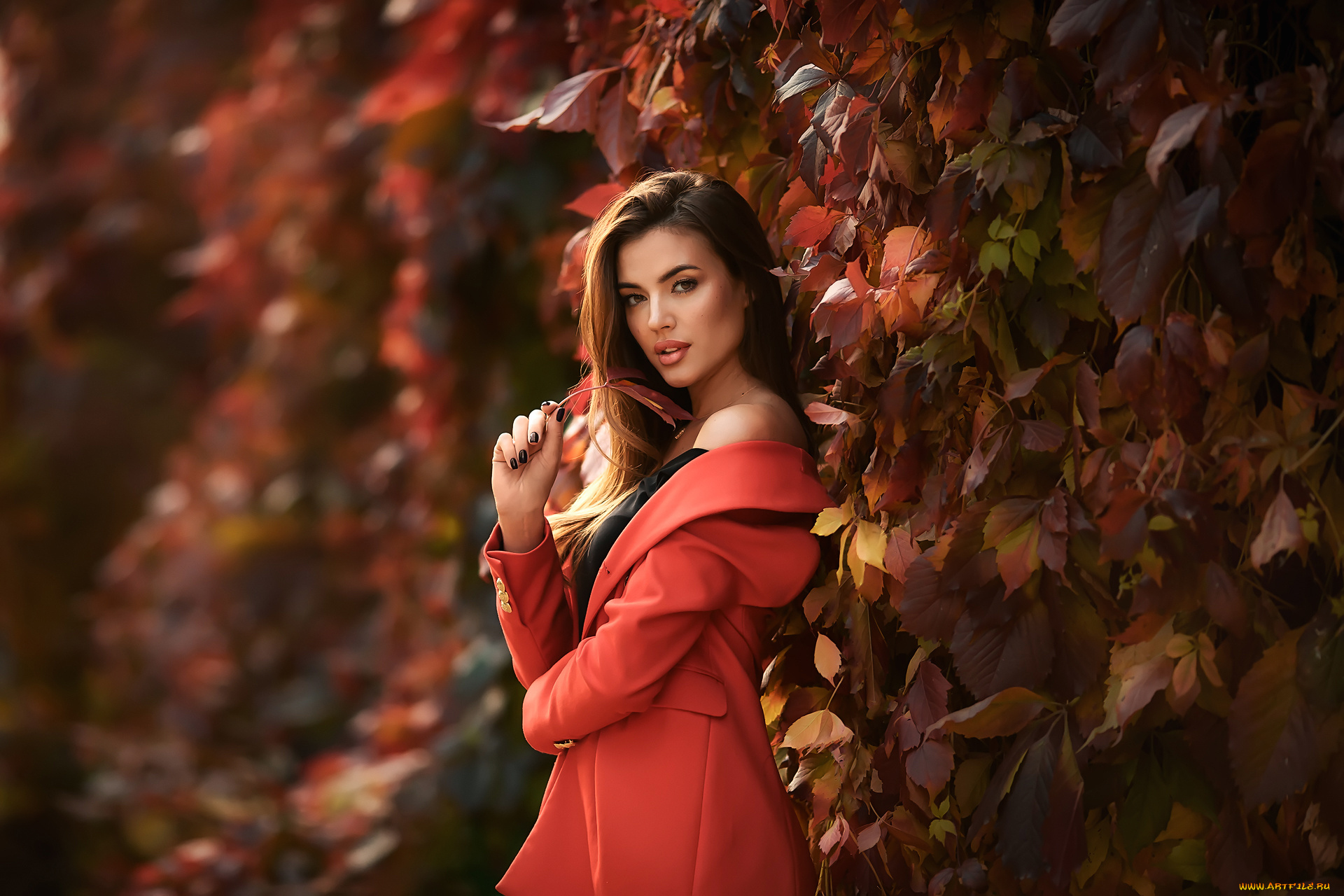 девушки, анастасия, бармина, брюнетка, модель, растения, анастасия, бармина, осень, красное, пальто, женщины, на, открытом, воздухе, листья