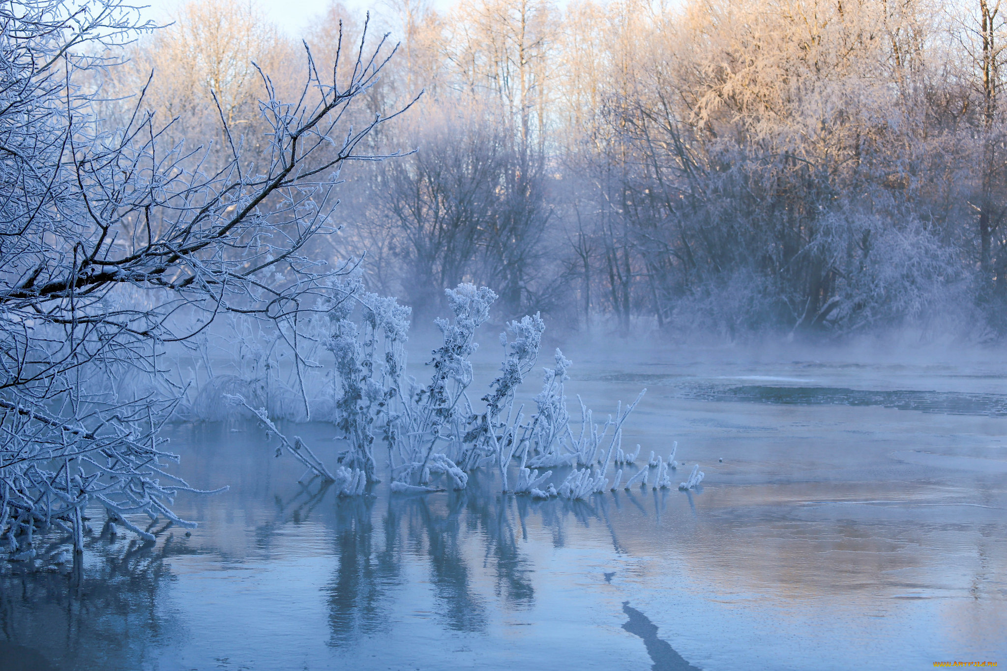 природа, реки, озера, простор