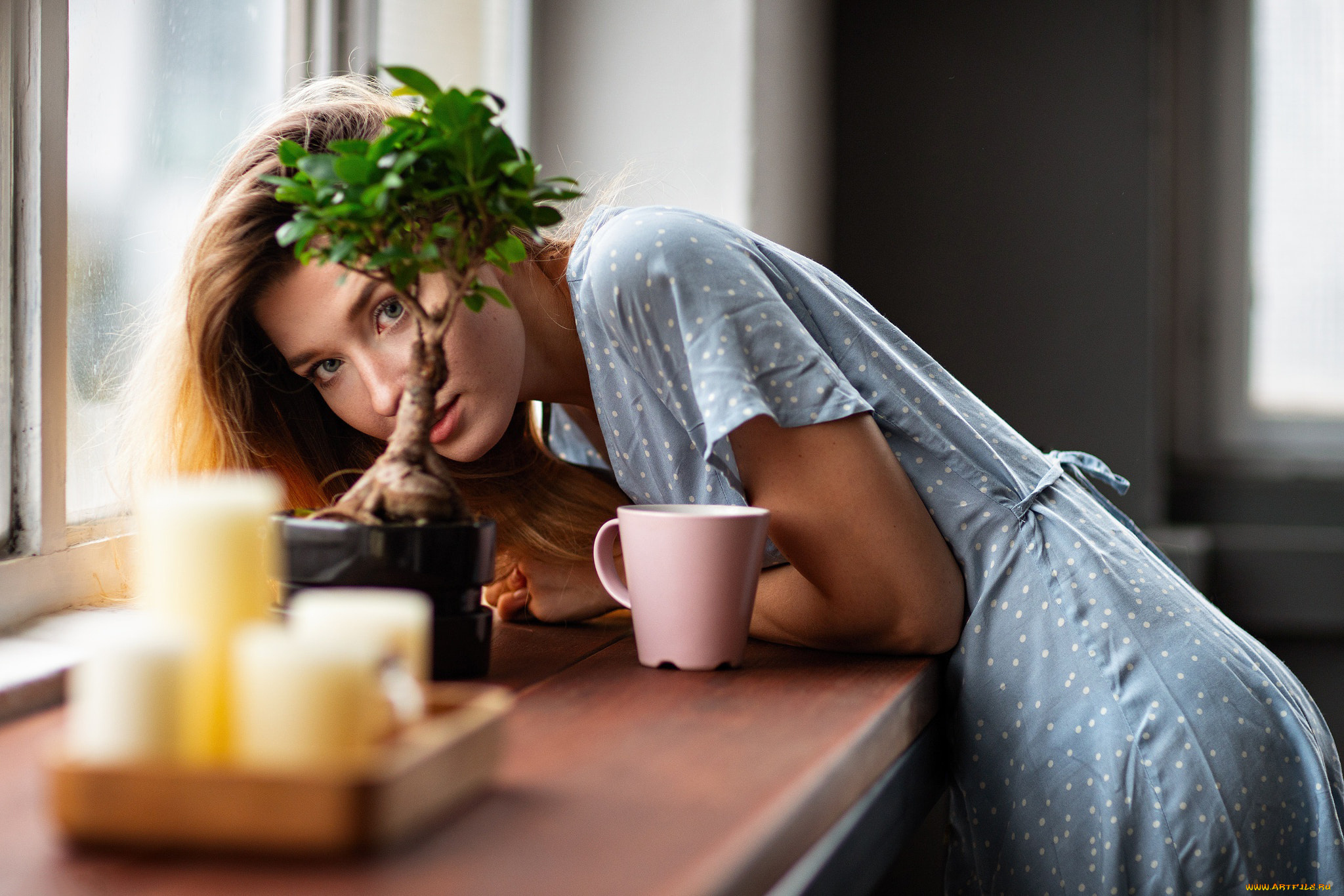 девушка, девушки, -unsort, , рыжеволосые, и, другие, модель