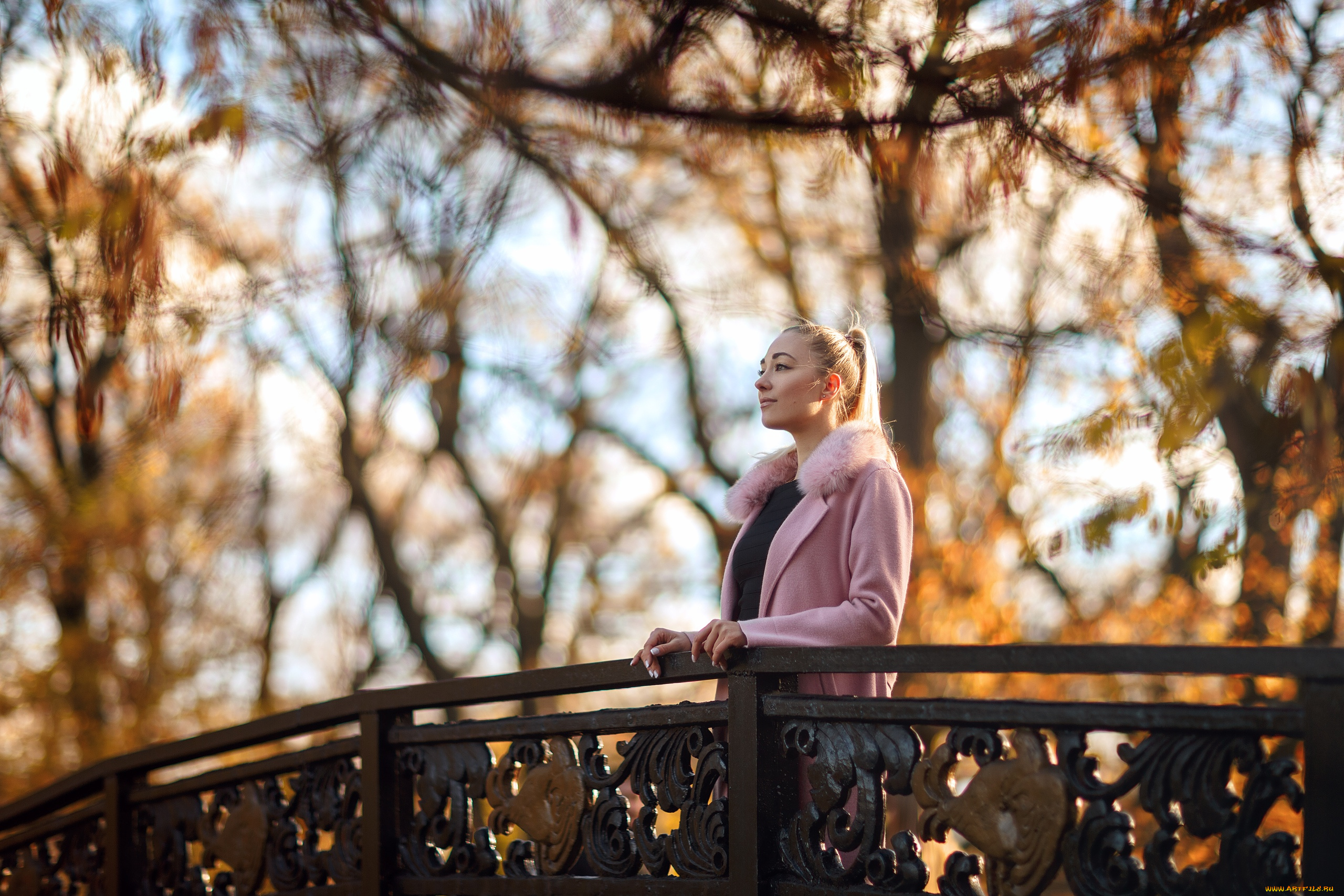 девушка, девушки, -unsort, , блондинки, , светловолосые, модель