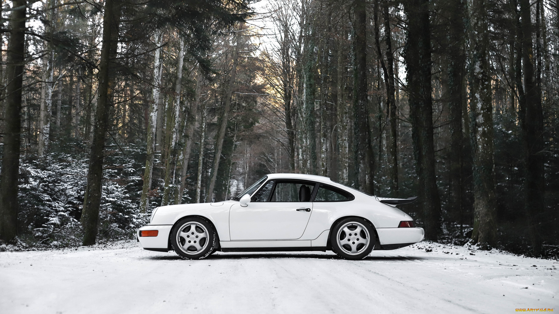 автомобили, porsche, 911, rs, america