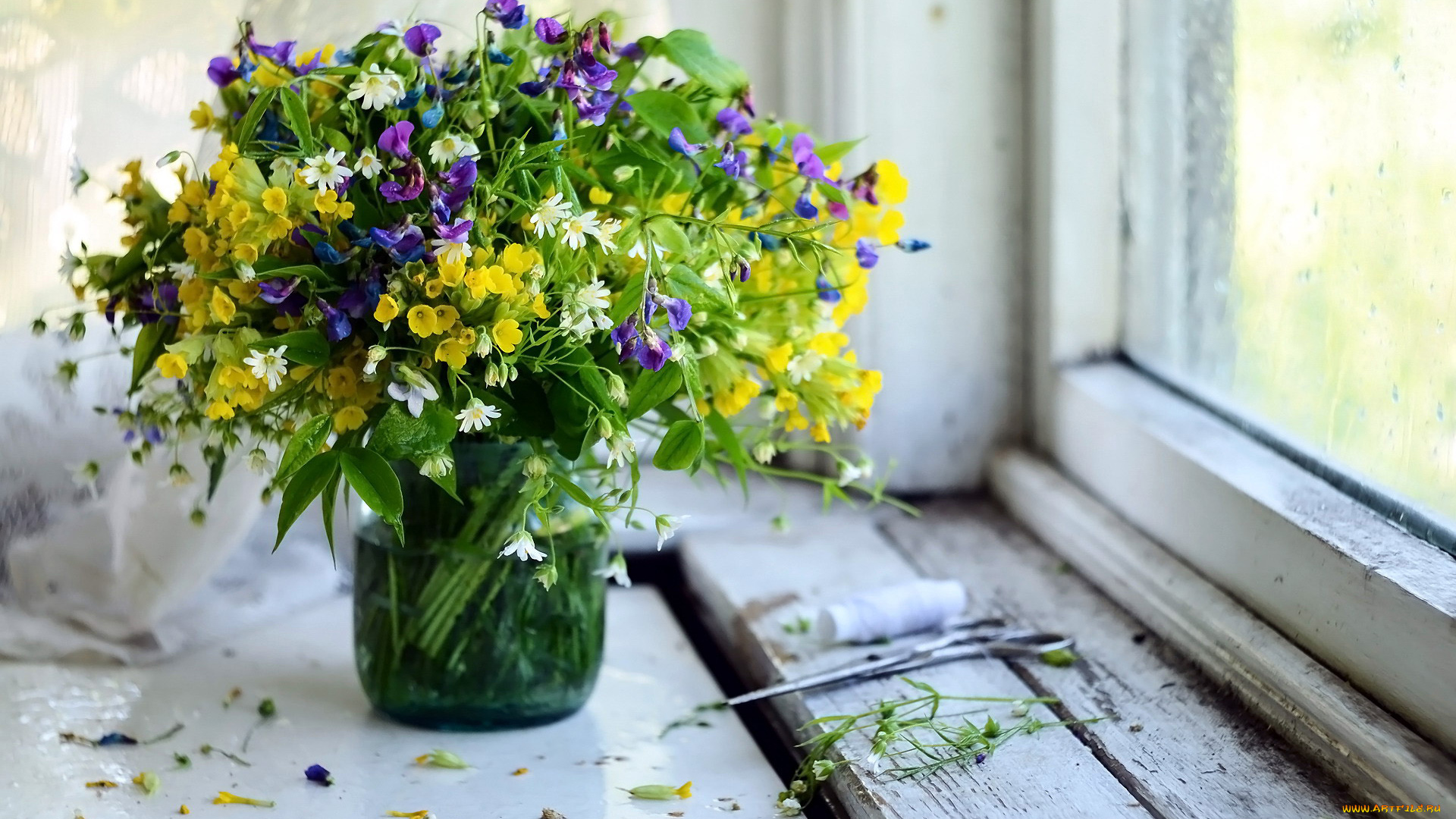 цветы, букеты, , композиции, полевые, букет