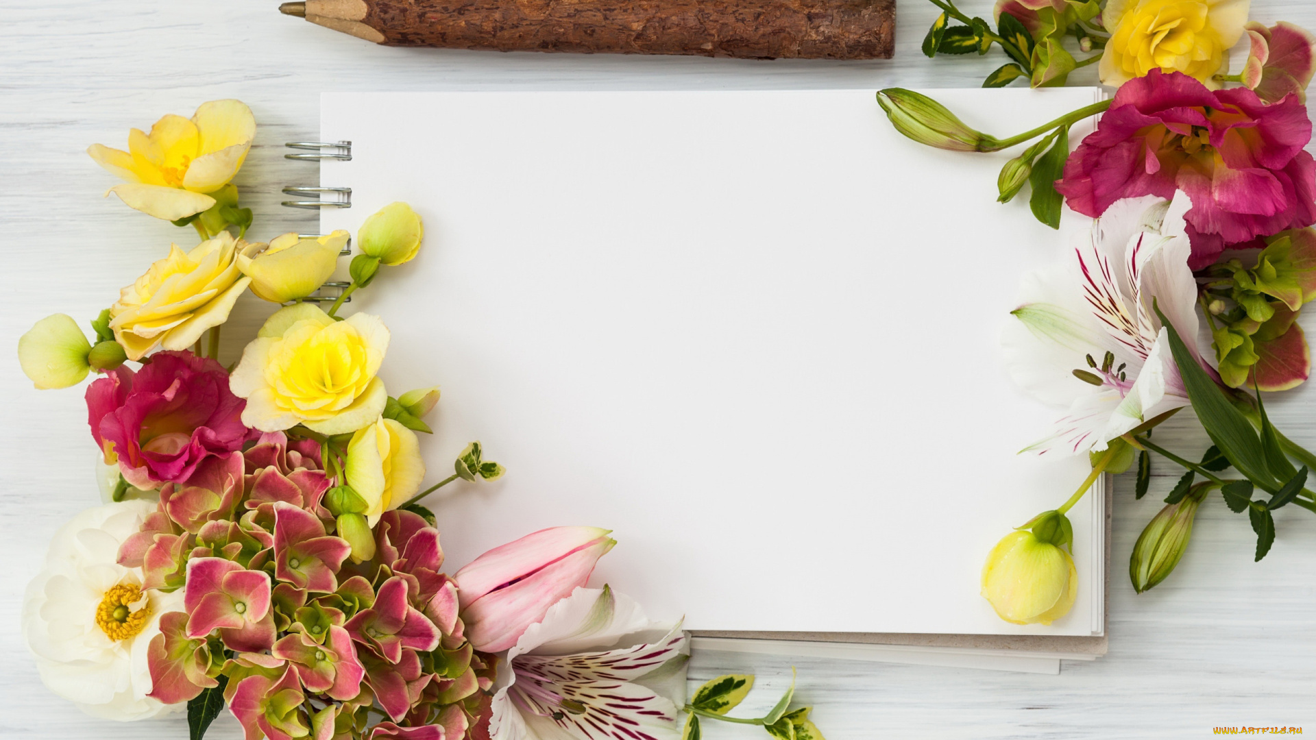 цветы, разные, вместе, бегония, гортензия, альстромерия