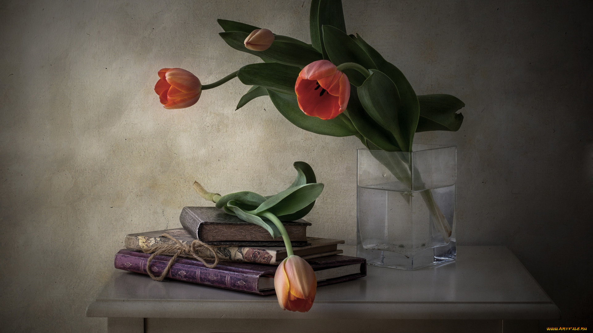 цветы, тюльпаны, книги, ваза