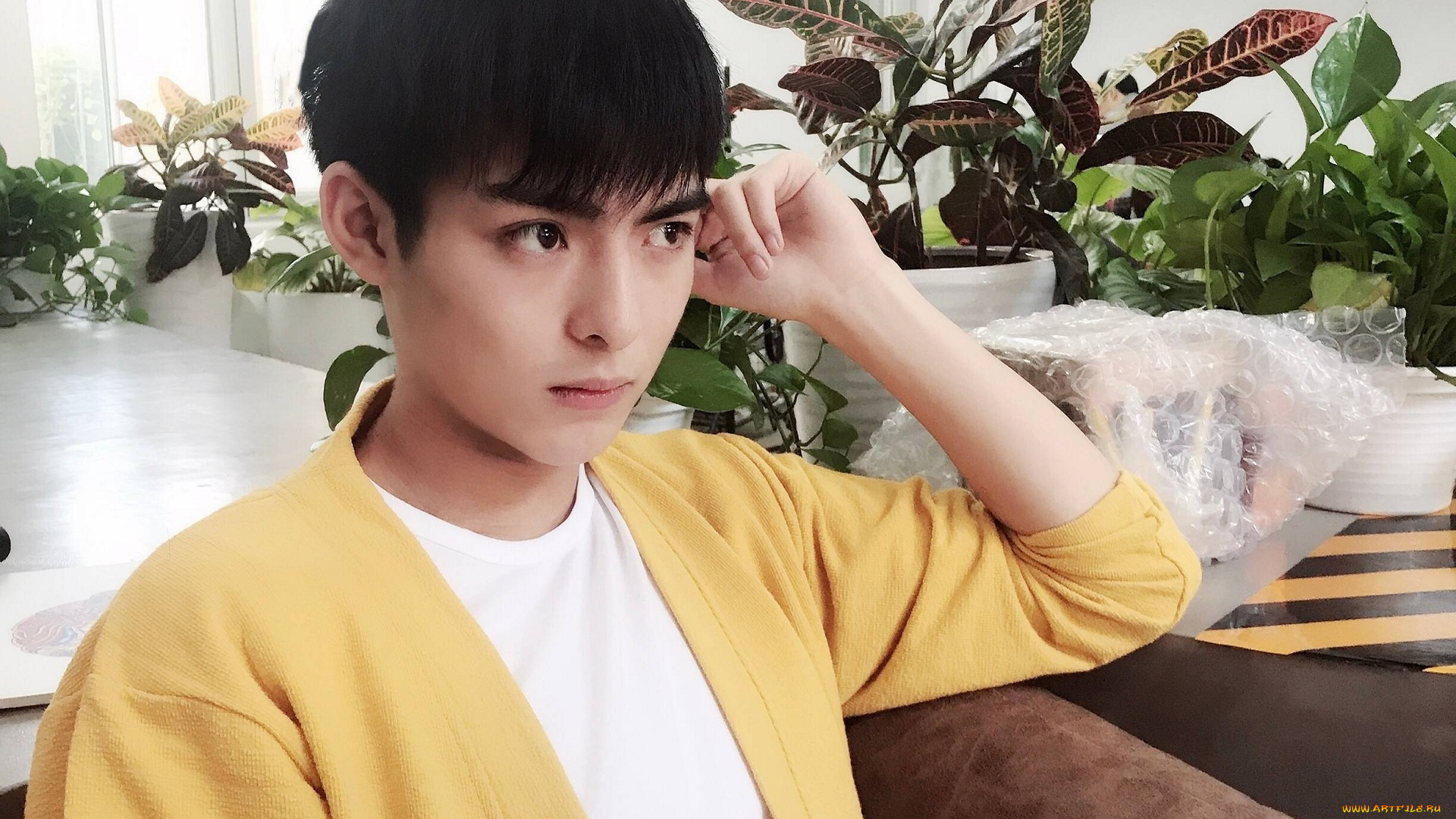 мужчины, wang, hao, xuan, ван, хаосюань, wang, hao, xuan