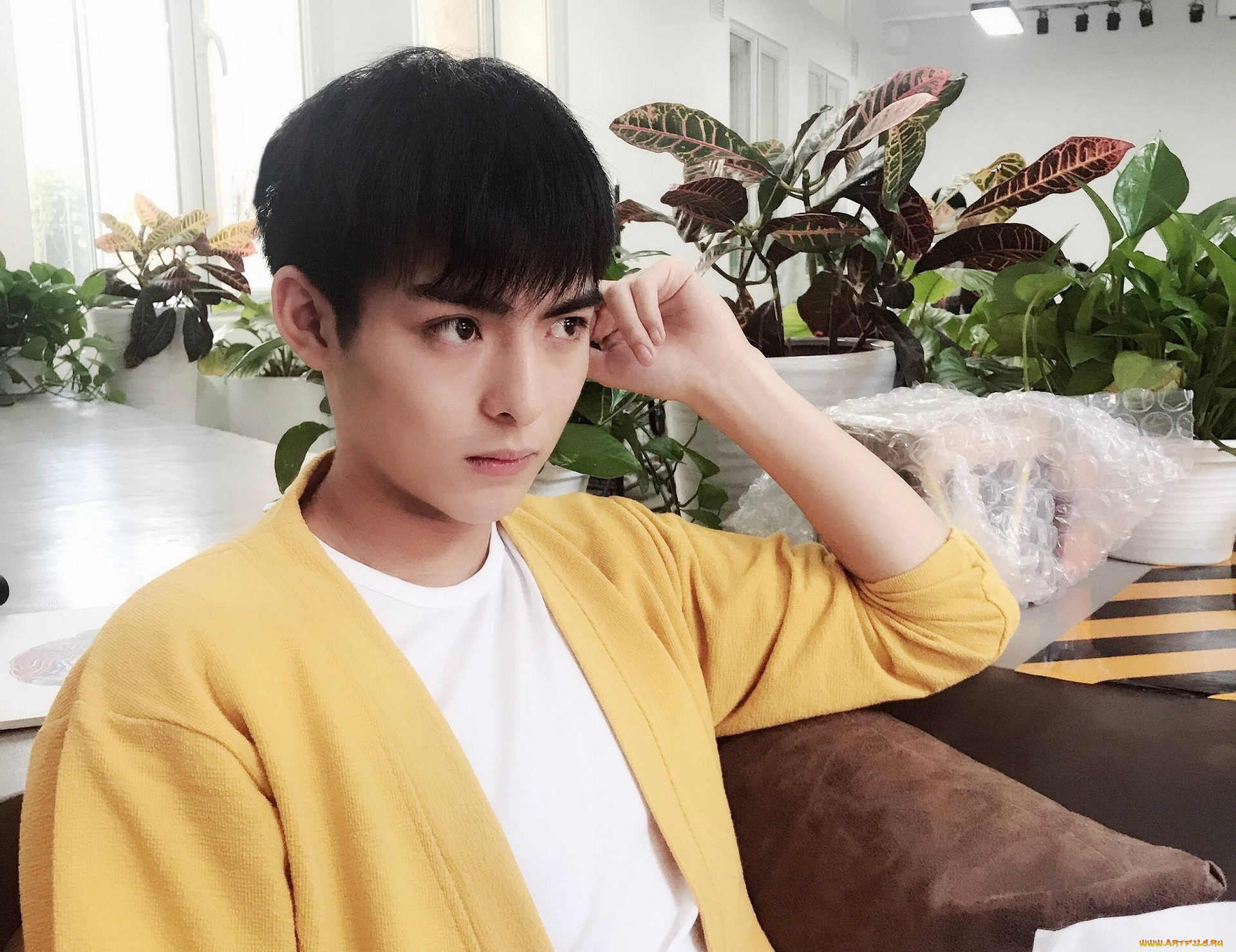 мужчины, wang, hao, xuan, ван, хаосюань, wang, hao, xuan