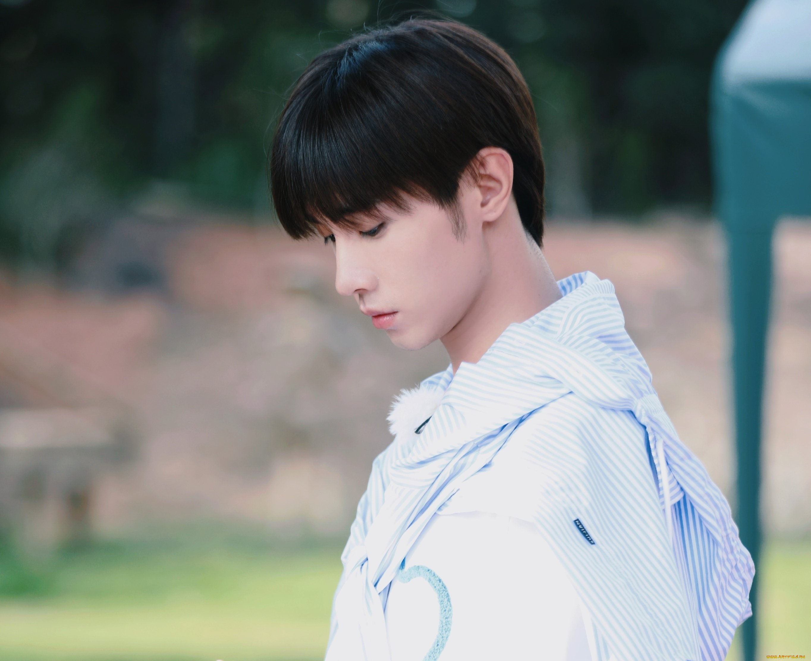 мужчины, song, ji, yang, сун, цзиян, китайский, актёр, певец