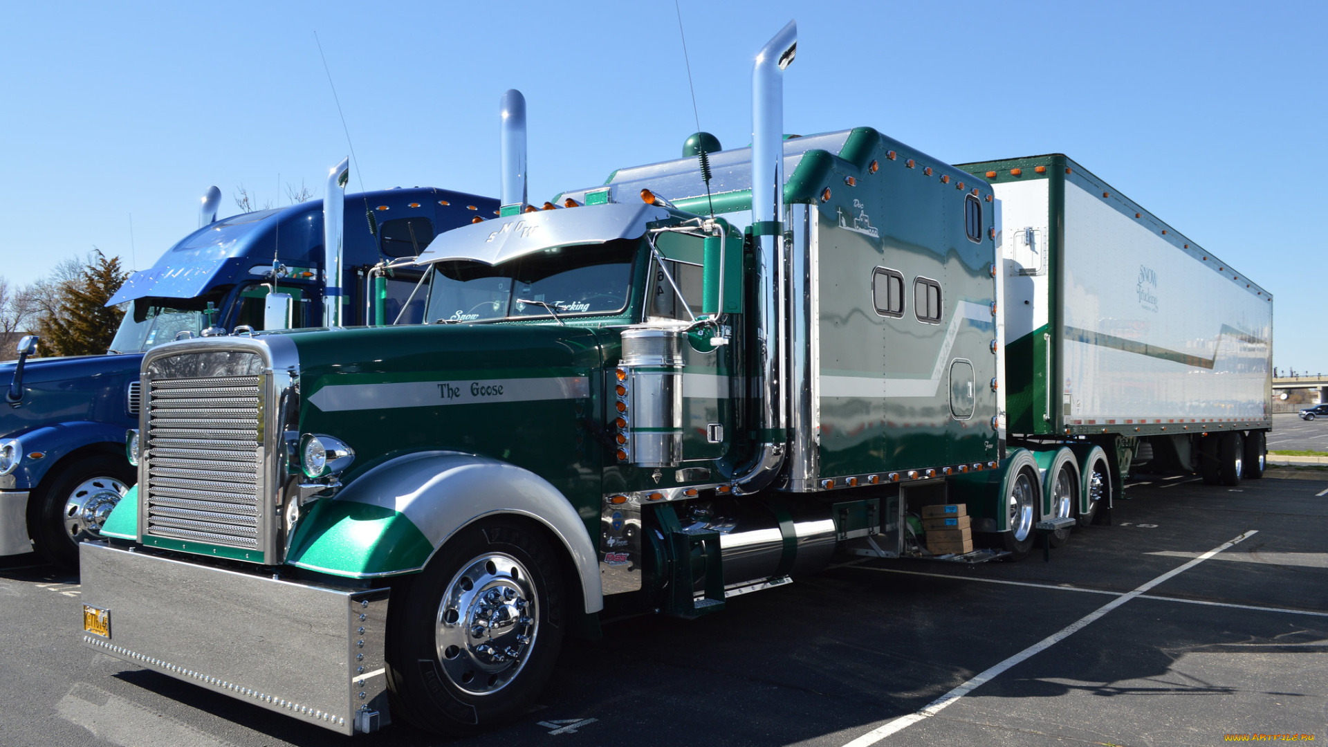 автомобили, freightliner, truck, спальник, фура