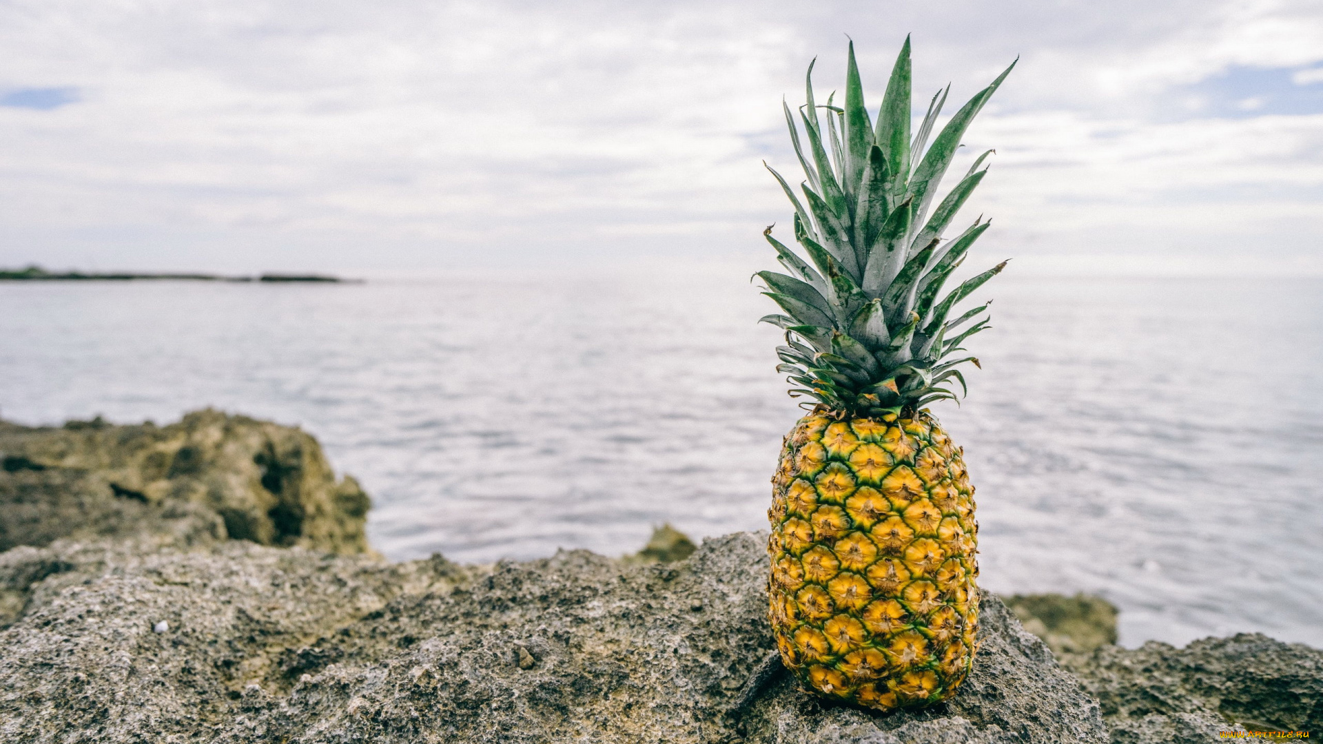 еда, ананас, вода, камни