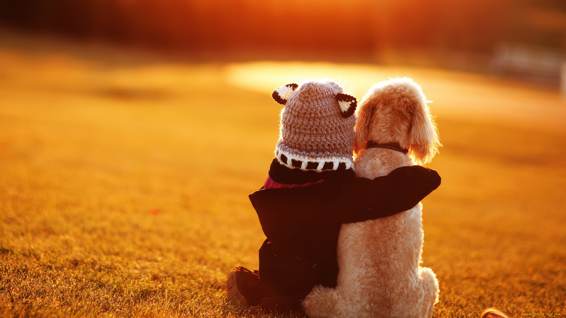 разное, дети, ребенок, шапка, собака, лужайка