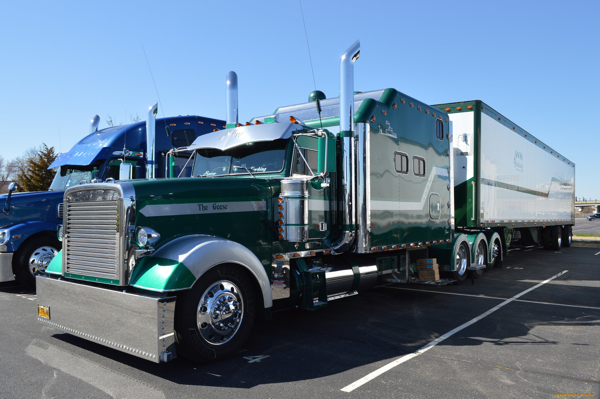 автомобили, freightliner, truck, спальник, фура