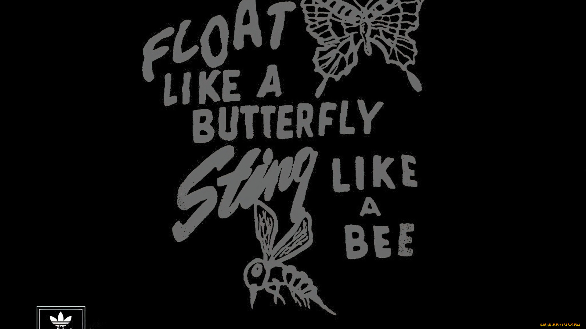 бренды, adidas, надпись, бабочка, пчела