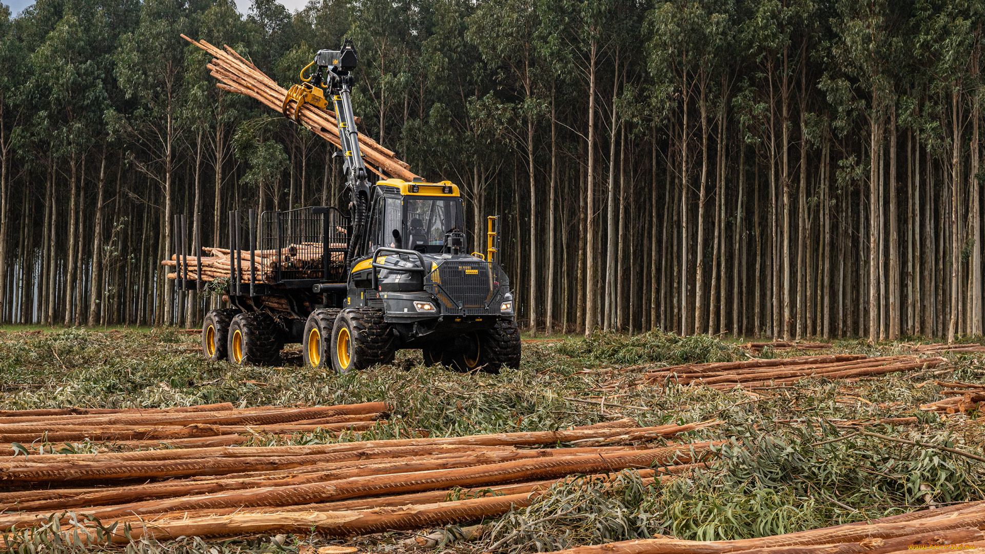 техника, лесоповалочная, техника, ponsse
