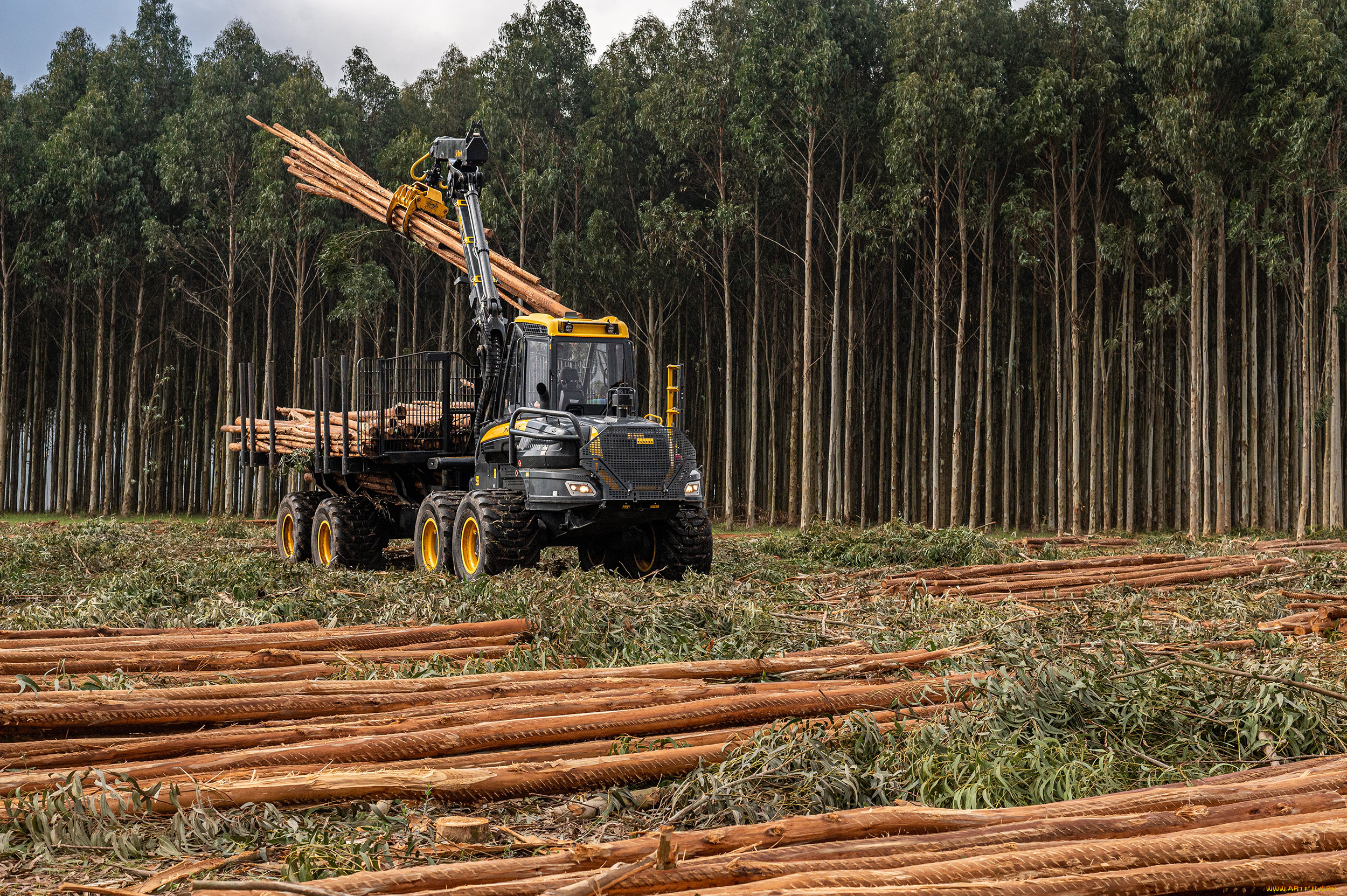 техника, лесоповалочная, техника, ponsse