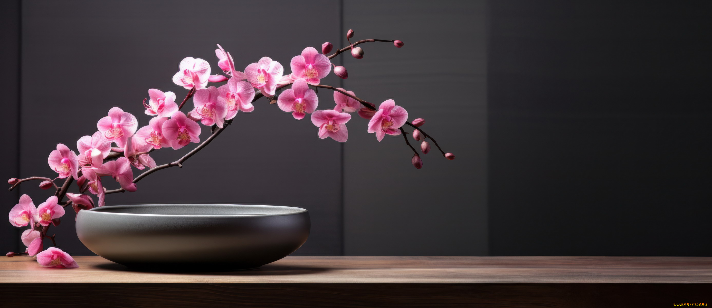 цветы, орхидеи, розовые, ветка