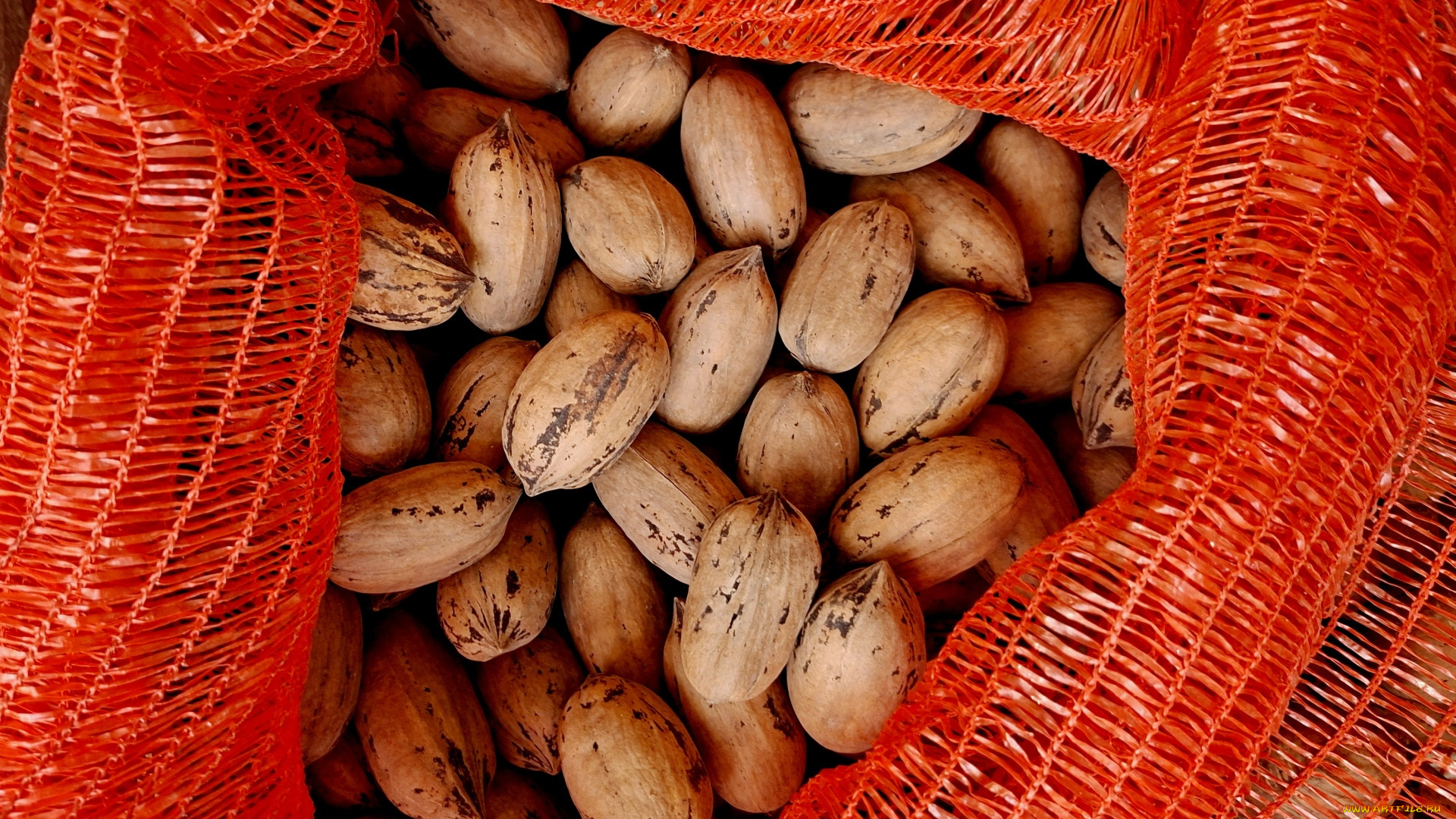еда, орехи, , каштаны, , какао-бобы, грецкие