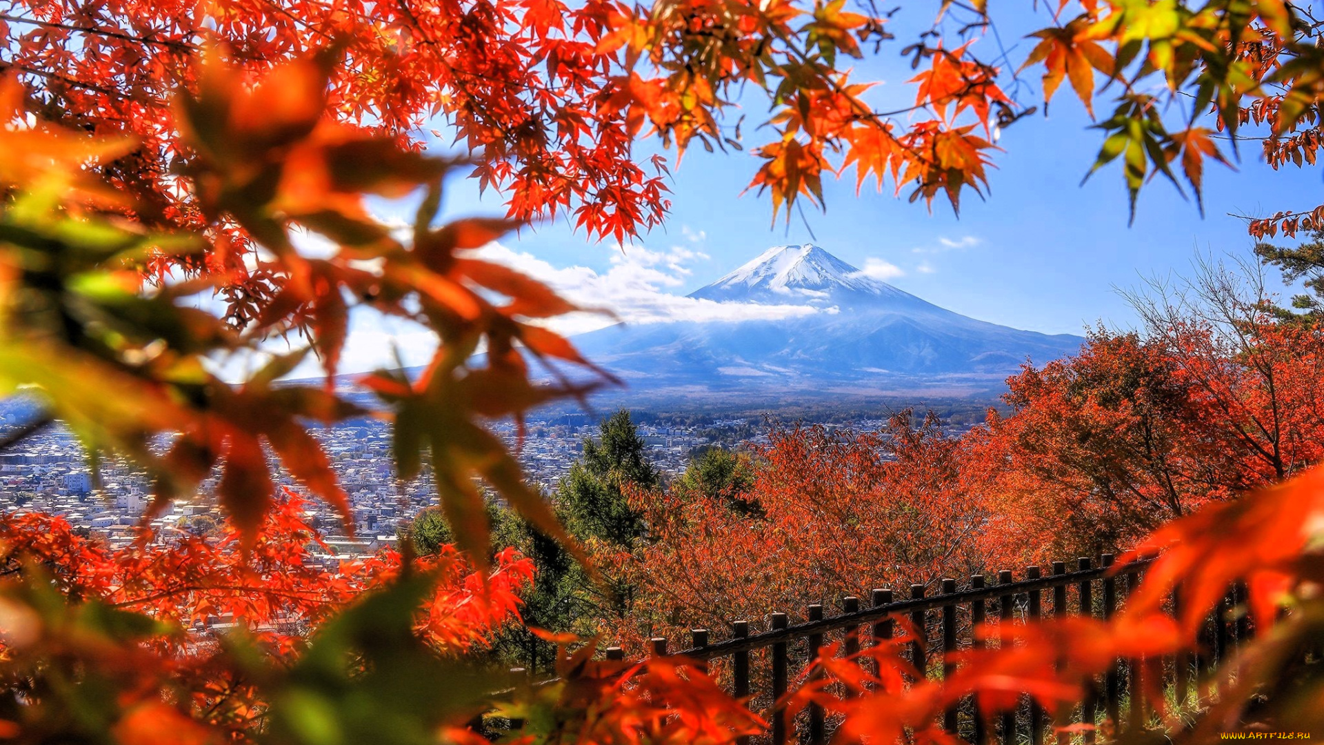 города, -, пейзажи, город, гора, фудзияма, панорама, деревья, осень, забор, клен