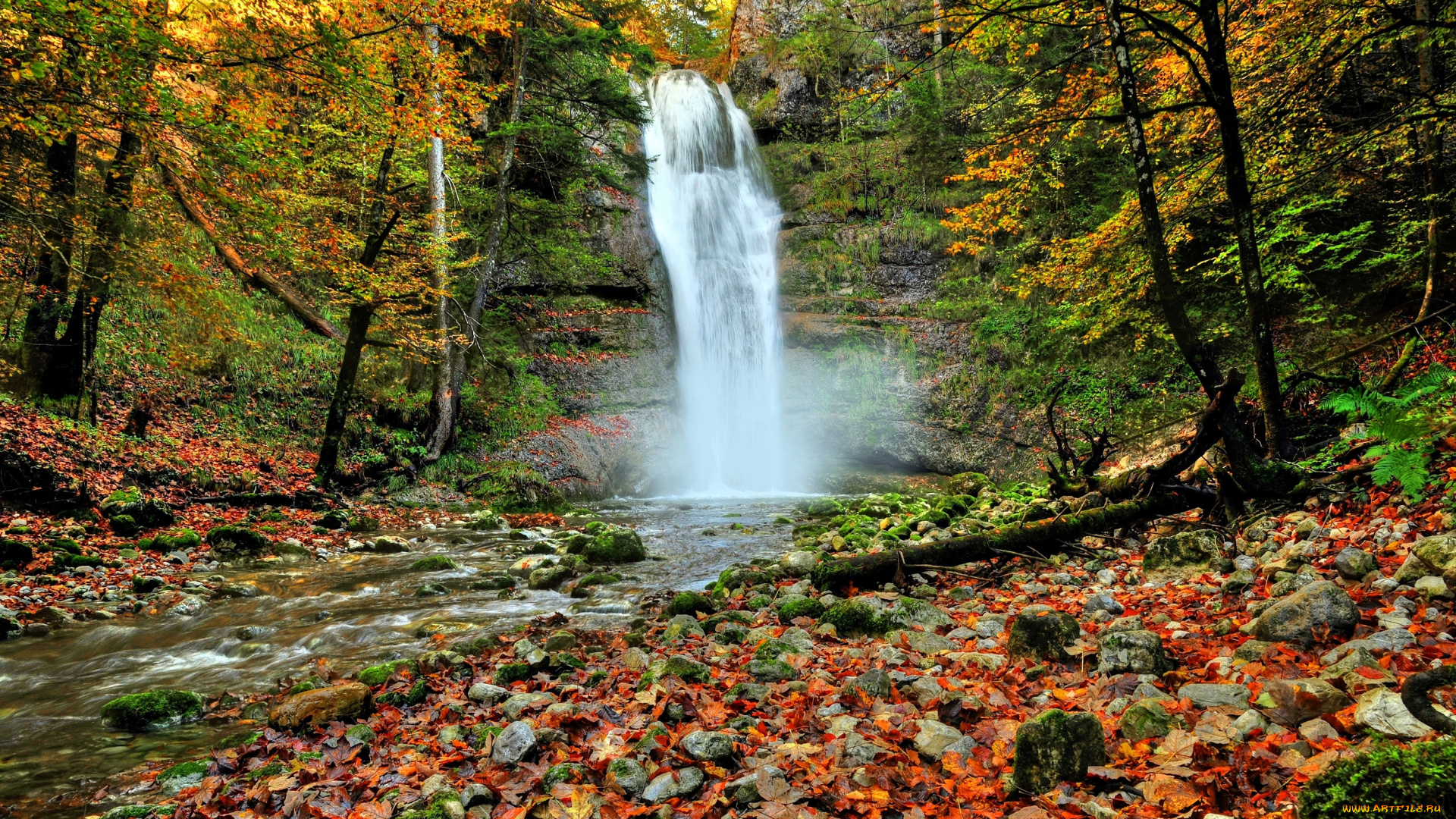 природа, водопады, водопад, река, лес, осень, деревья, листья