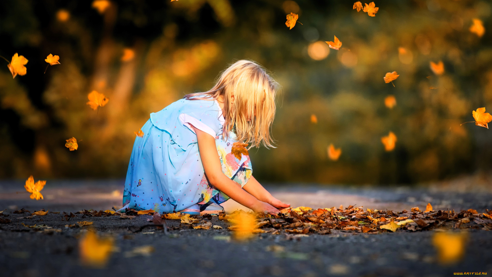 разное, дети, девочка, ребенок, платье, осень, листья