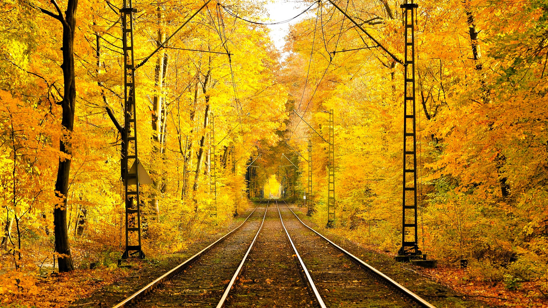 разное, транспортные, средства, и, магистрали, лес, деревья, осень, провода, рельсы, железная, дорога