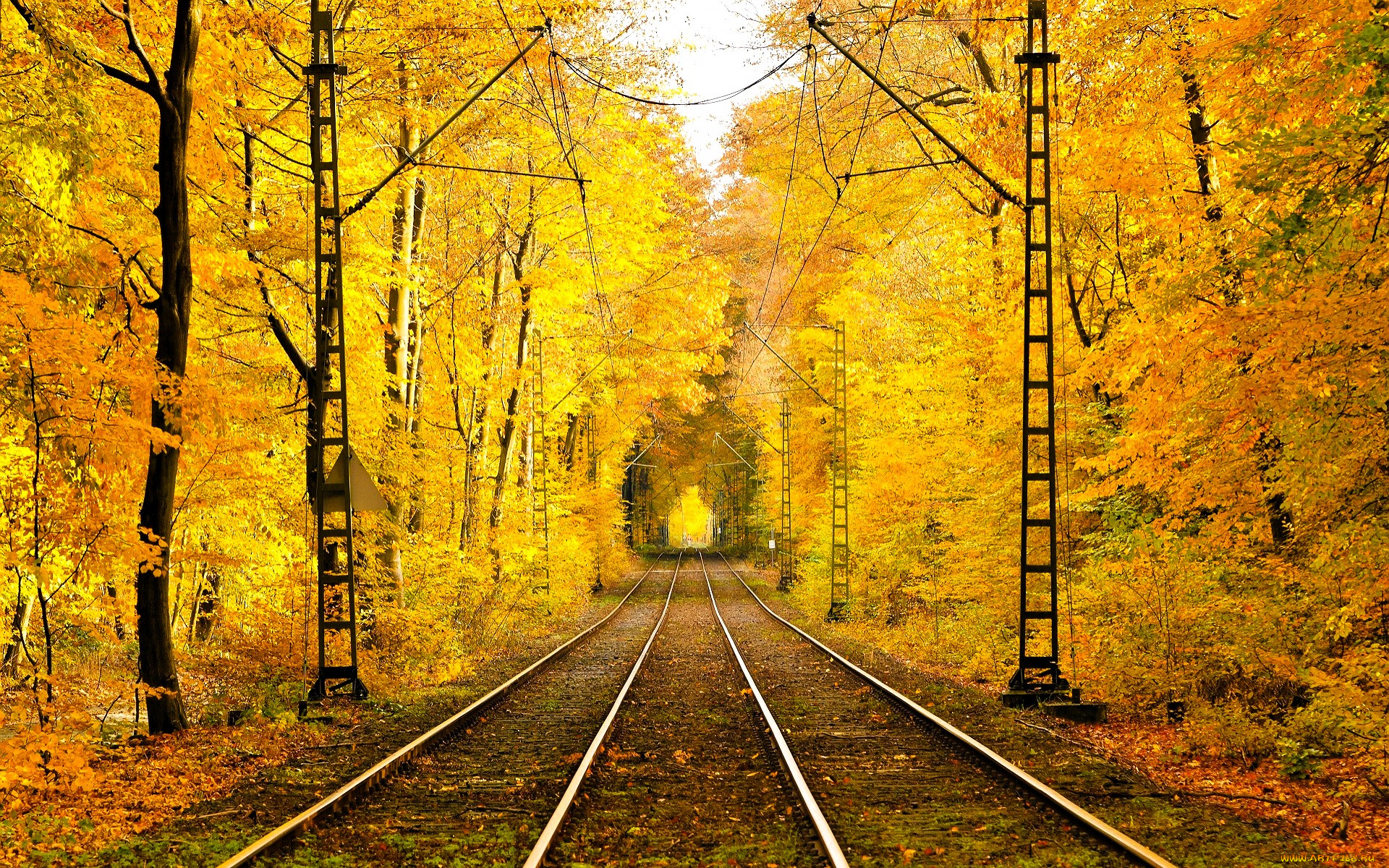 разное, транспортные, средства, и, магистрали, лес, деревья, осень, провода, рельсы, железная, дорога