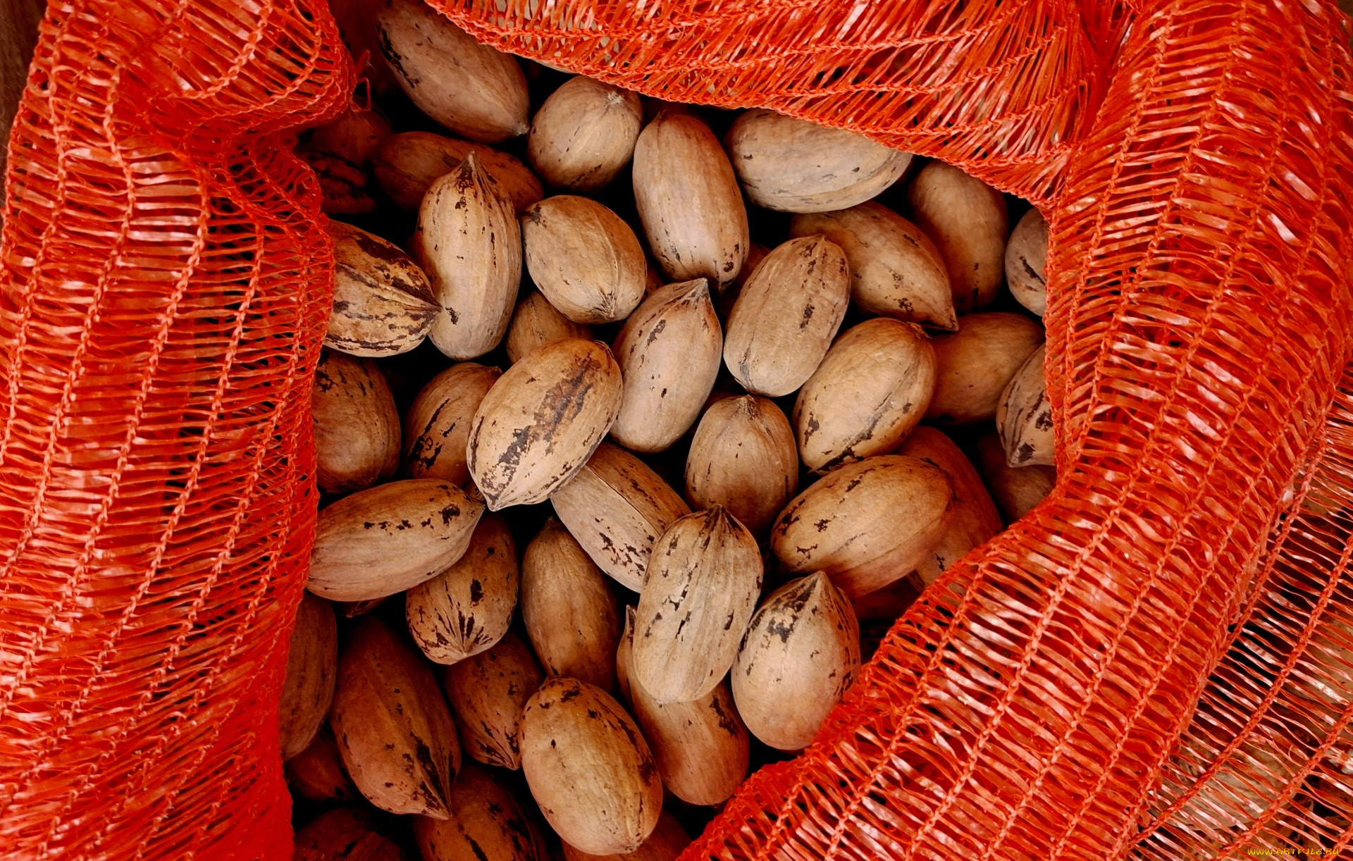 еда, орехи, , каштаны, , какао-бобы, грецкие
