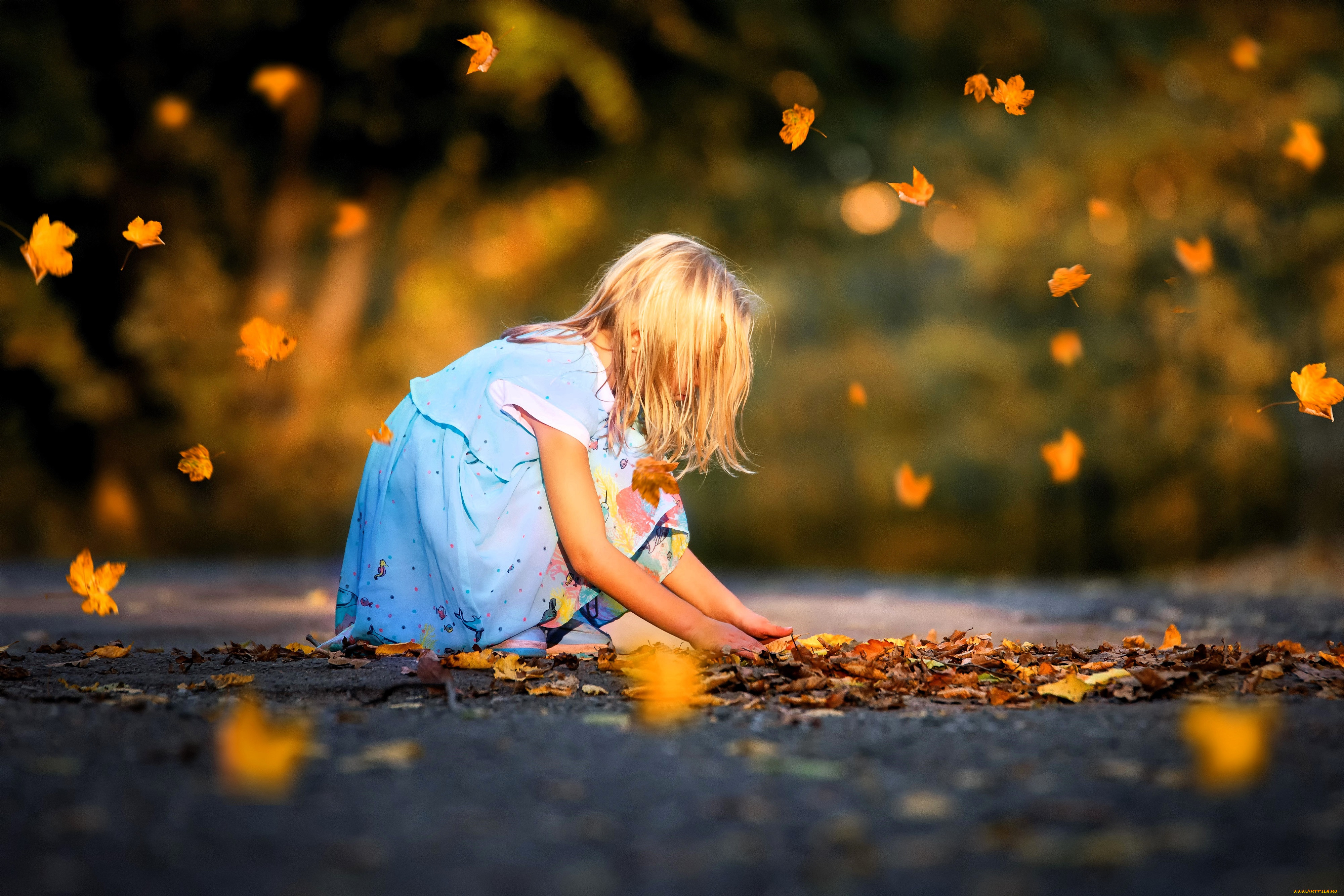 разное, дети, девочка, ребенок, платье, осень, листья