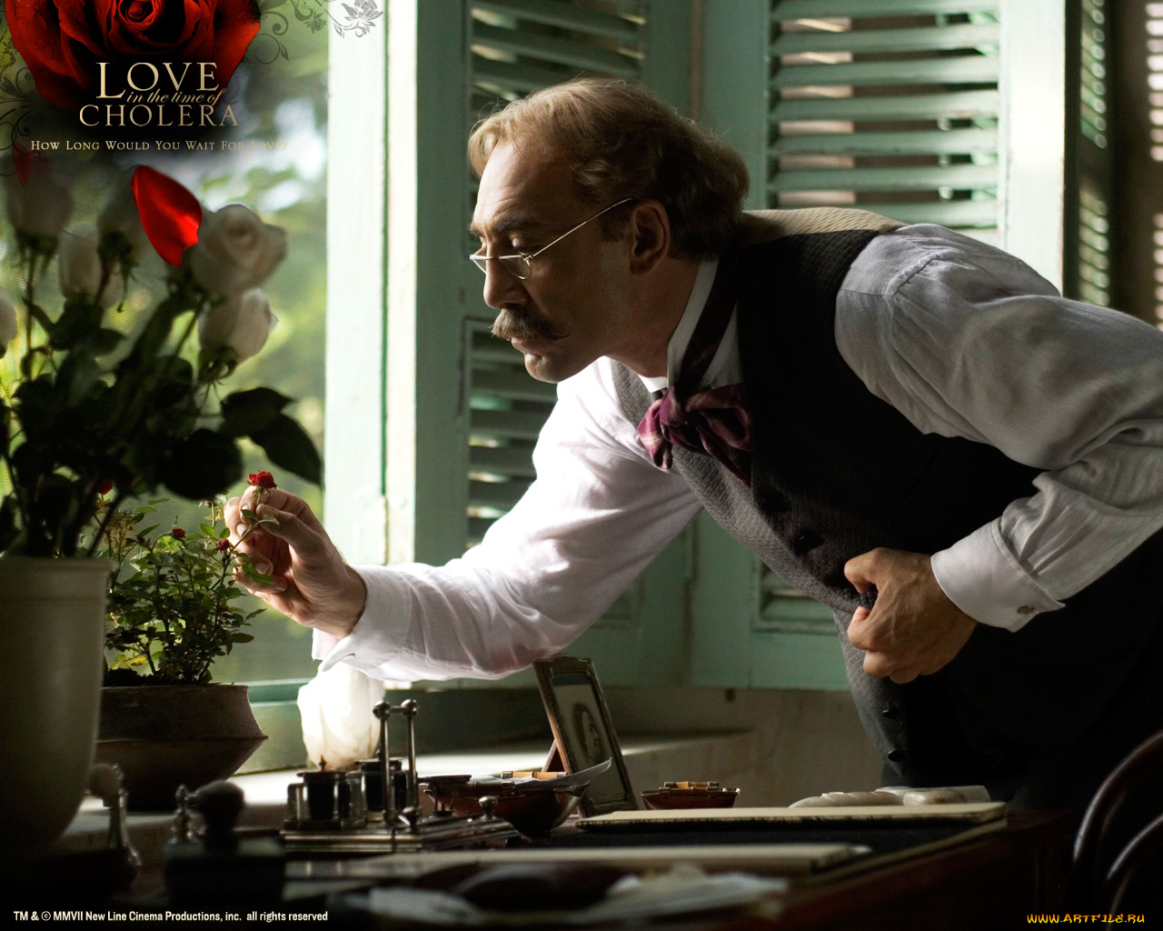 love, in, the, time, of, cholera, кино, фильмы
