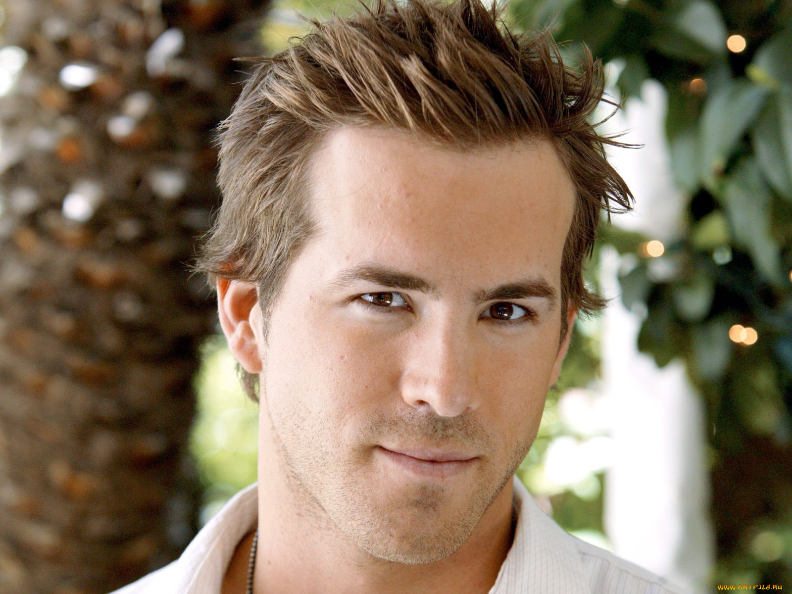 ryan, reynolds, мужчины