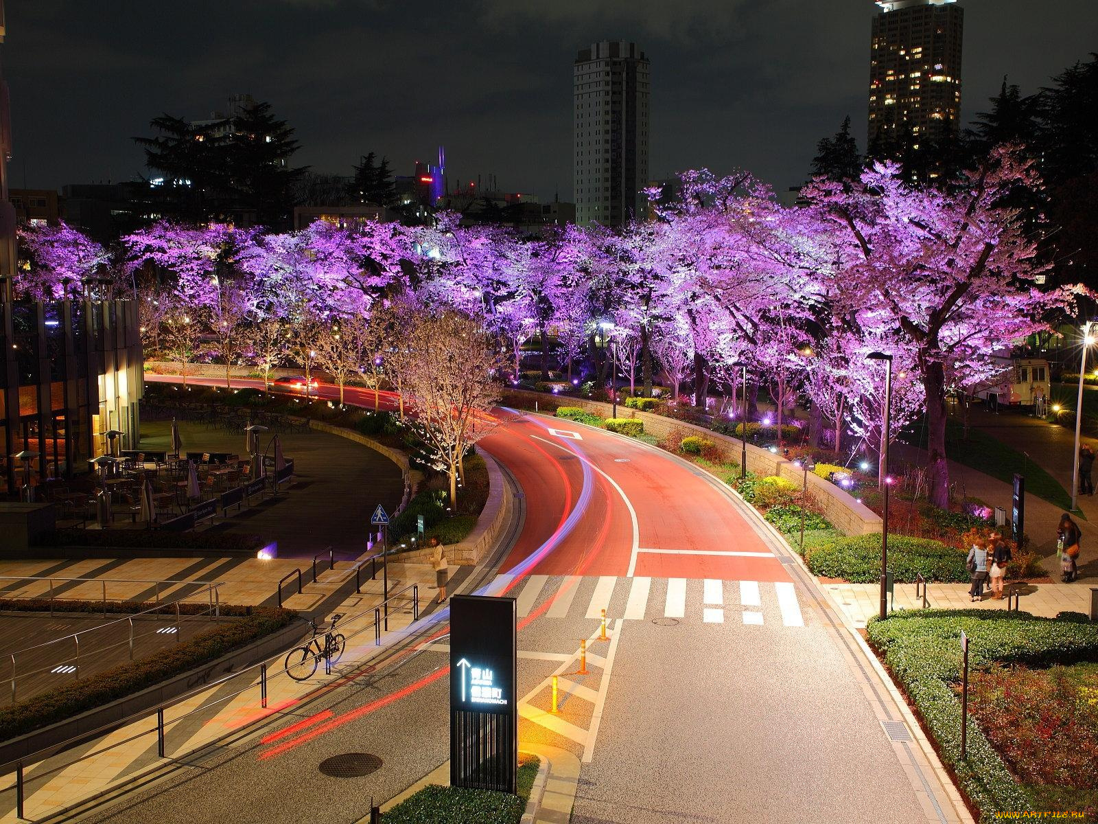 токио, города, Япония