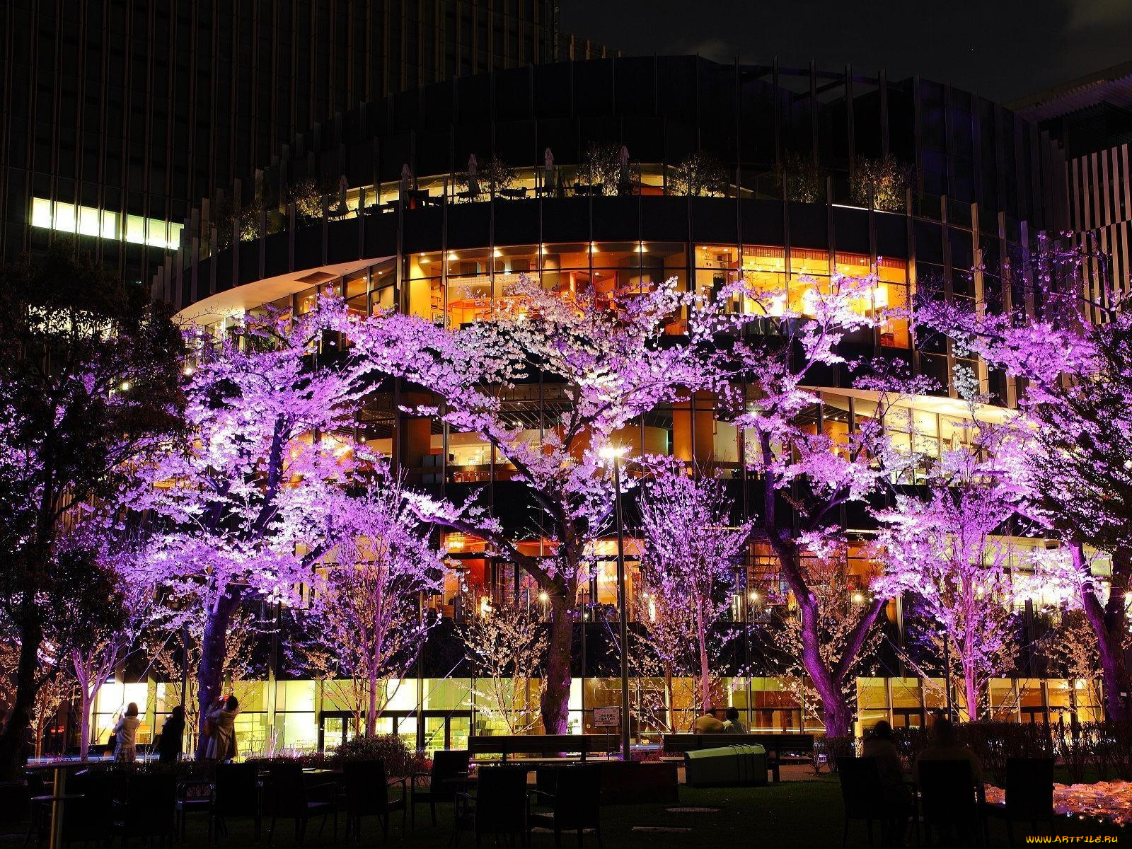 токио, города, Япония