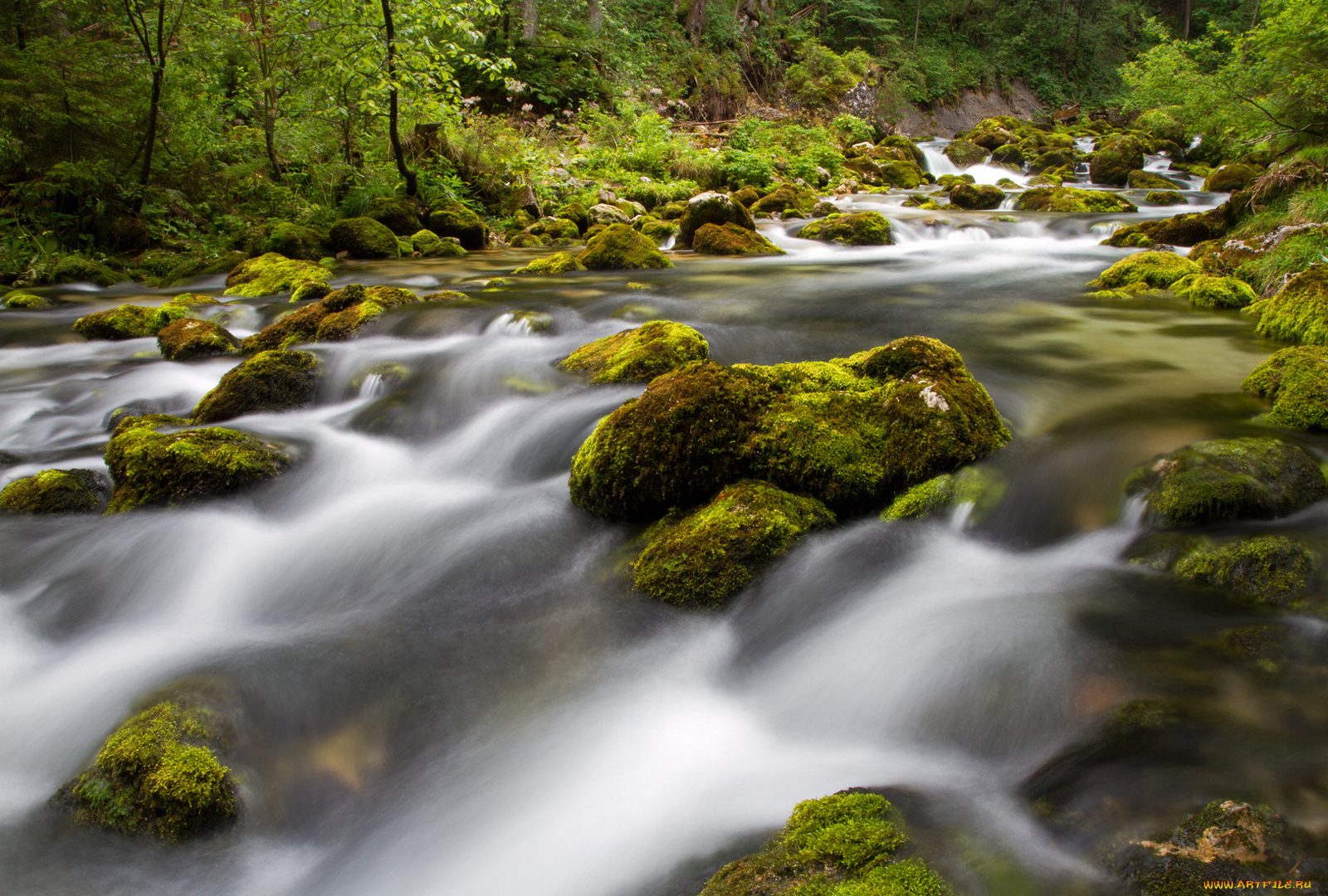 природа, реки, озера, вода, камни