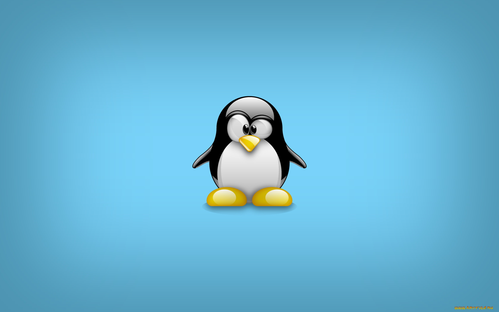 компьютеры, linux