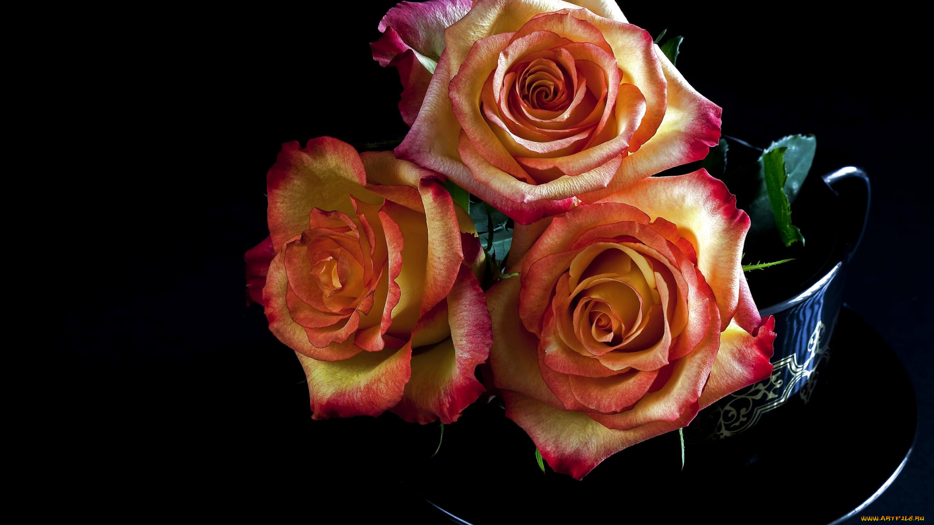 цветы, розы, чашка, блюдце