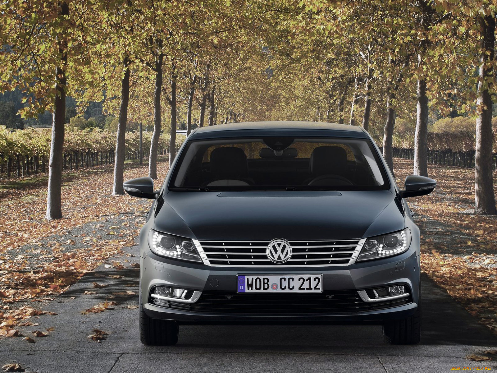 автомобили, volkswagen