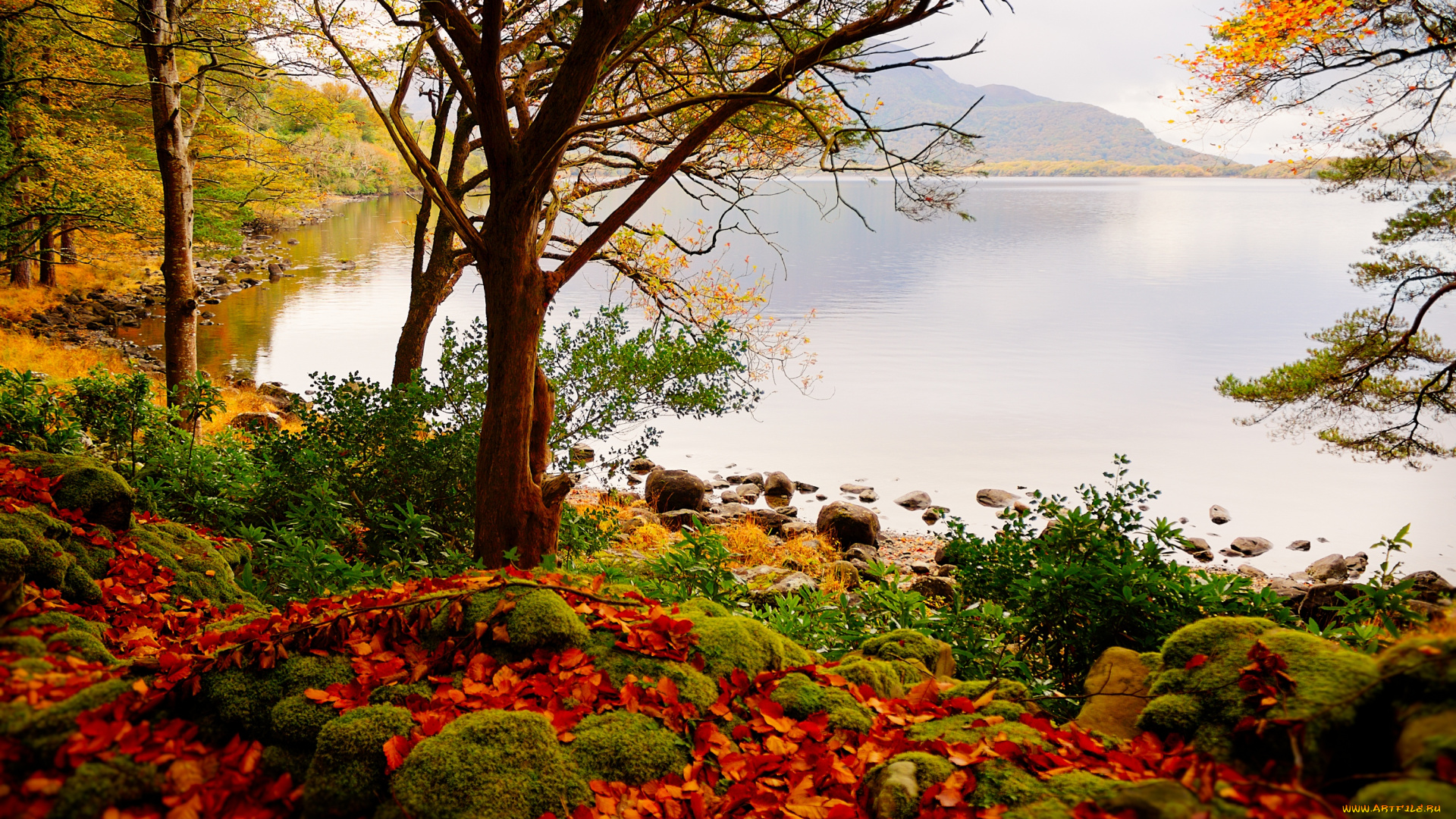 природа, реки, озера, пейзаж