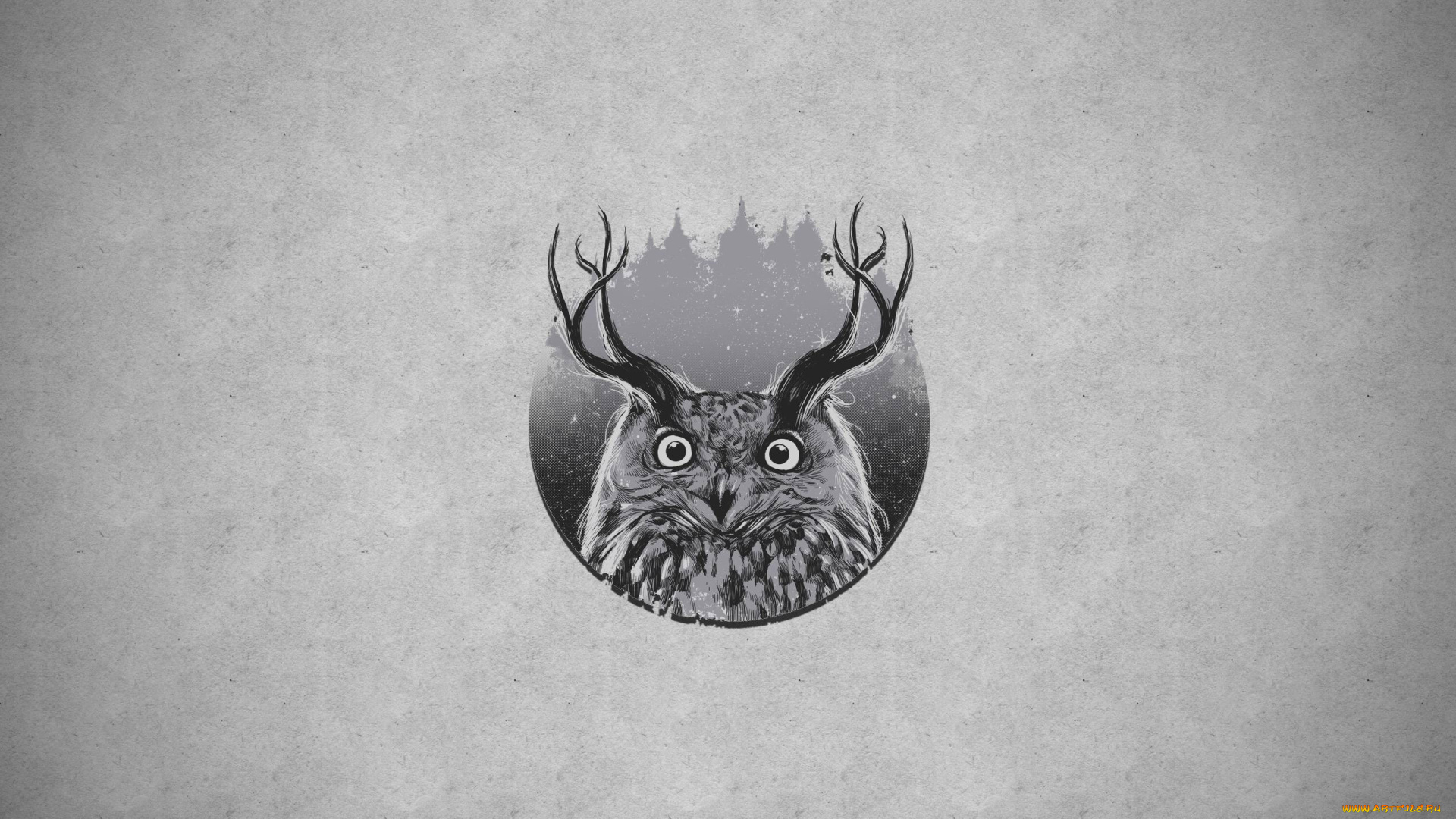 рисованные, минимализм, сова