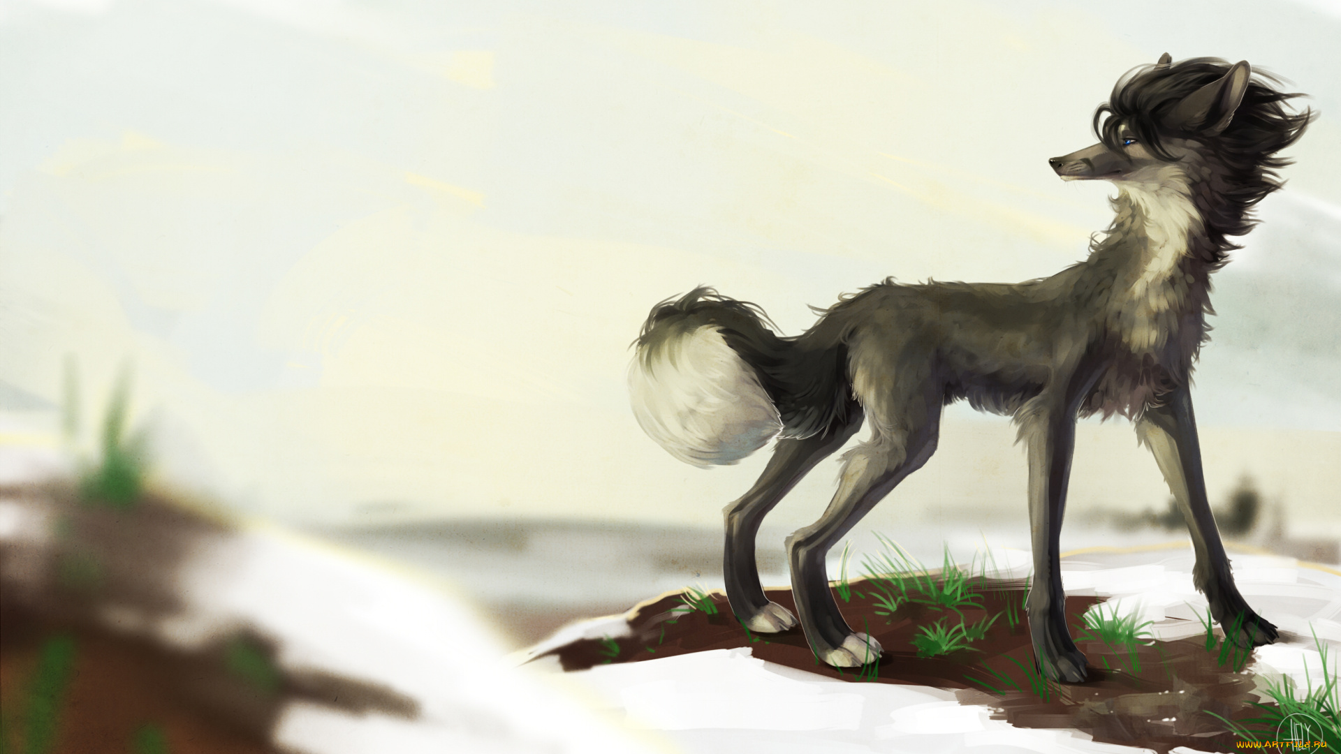 рисованные, животные, , собаки, собака