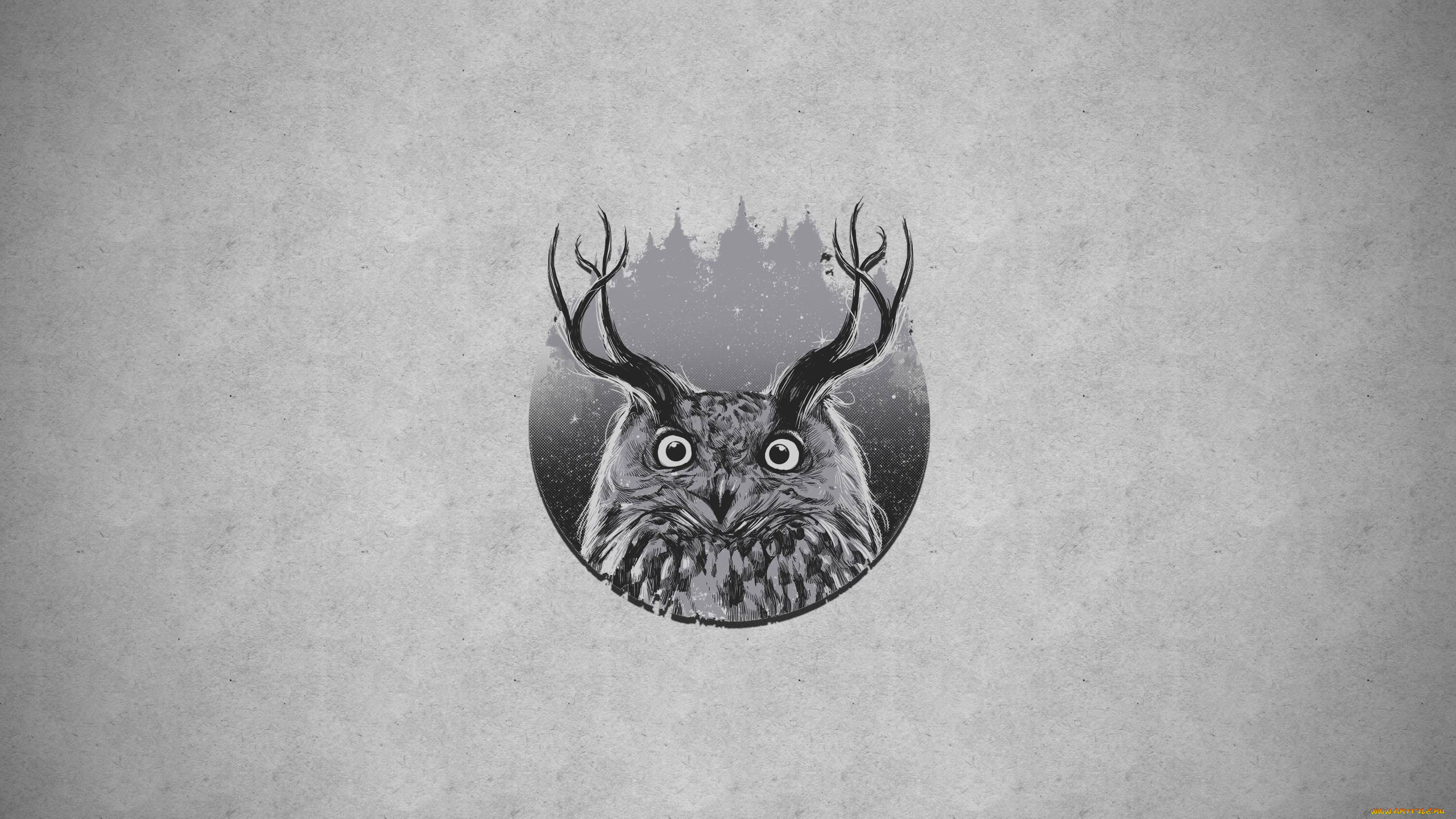 рисованные, минимализм, сова