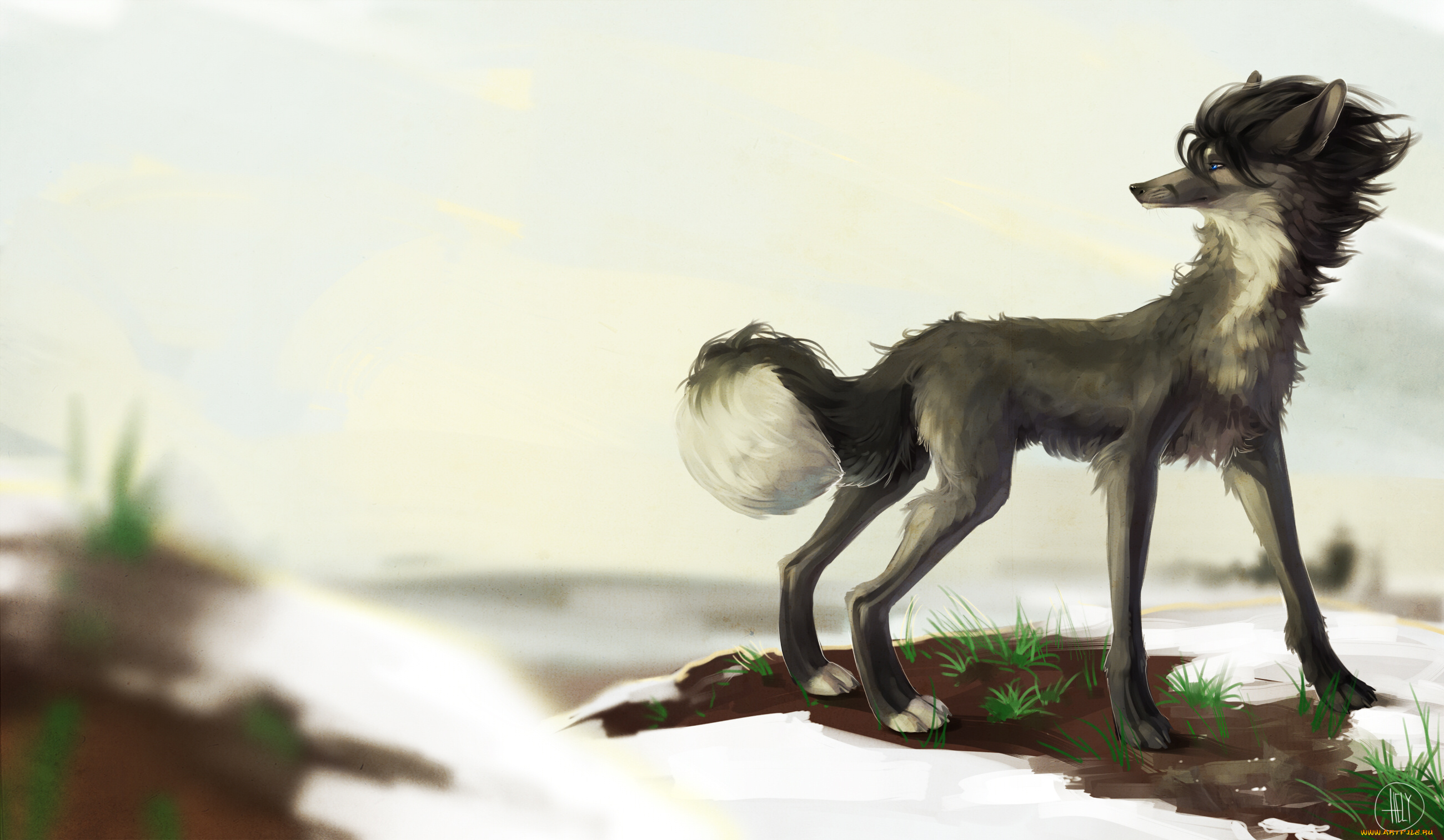 рисованные, животные, , собаки, собака