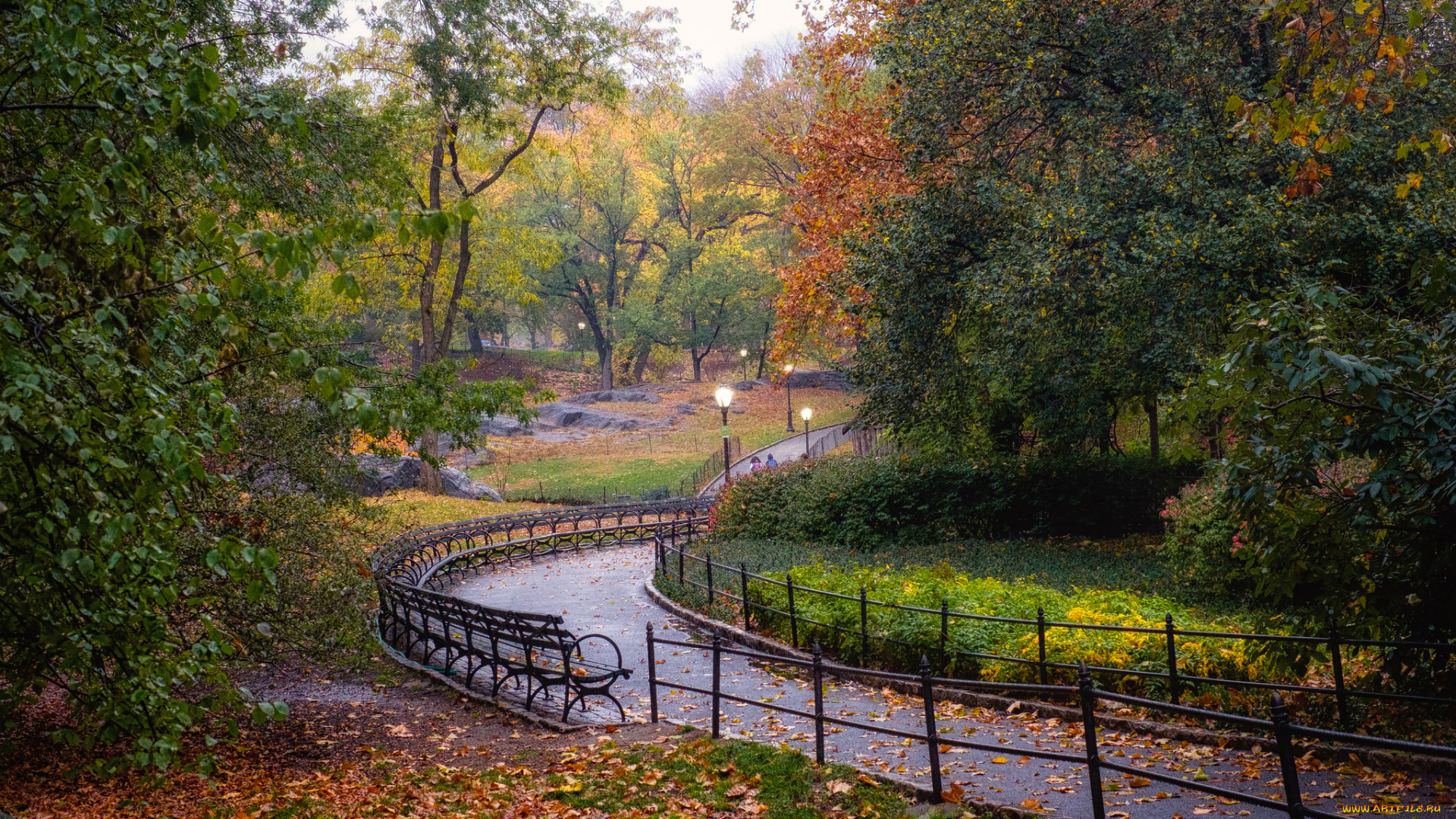 природа, парк, осень, дорожка